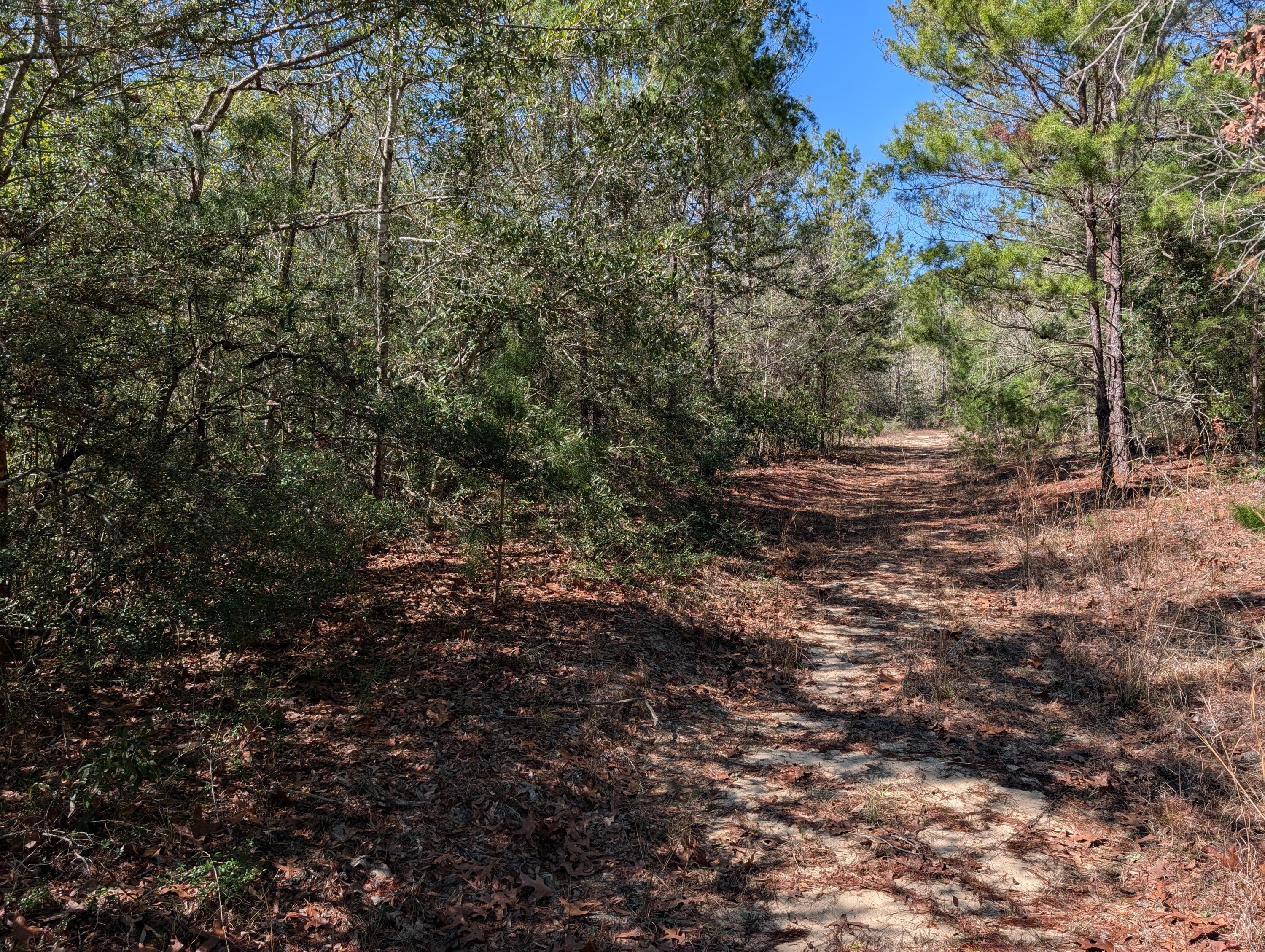 OAKWOOD HILLS UNIT 1 - Land