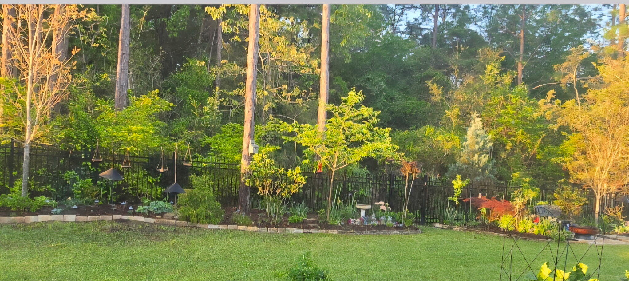 Nature Lake - Residential