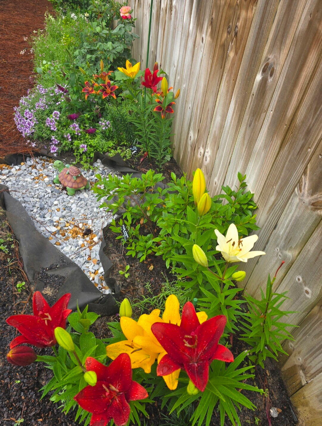 Nature Lake - Residential