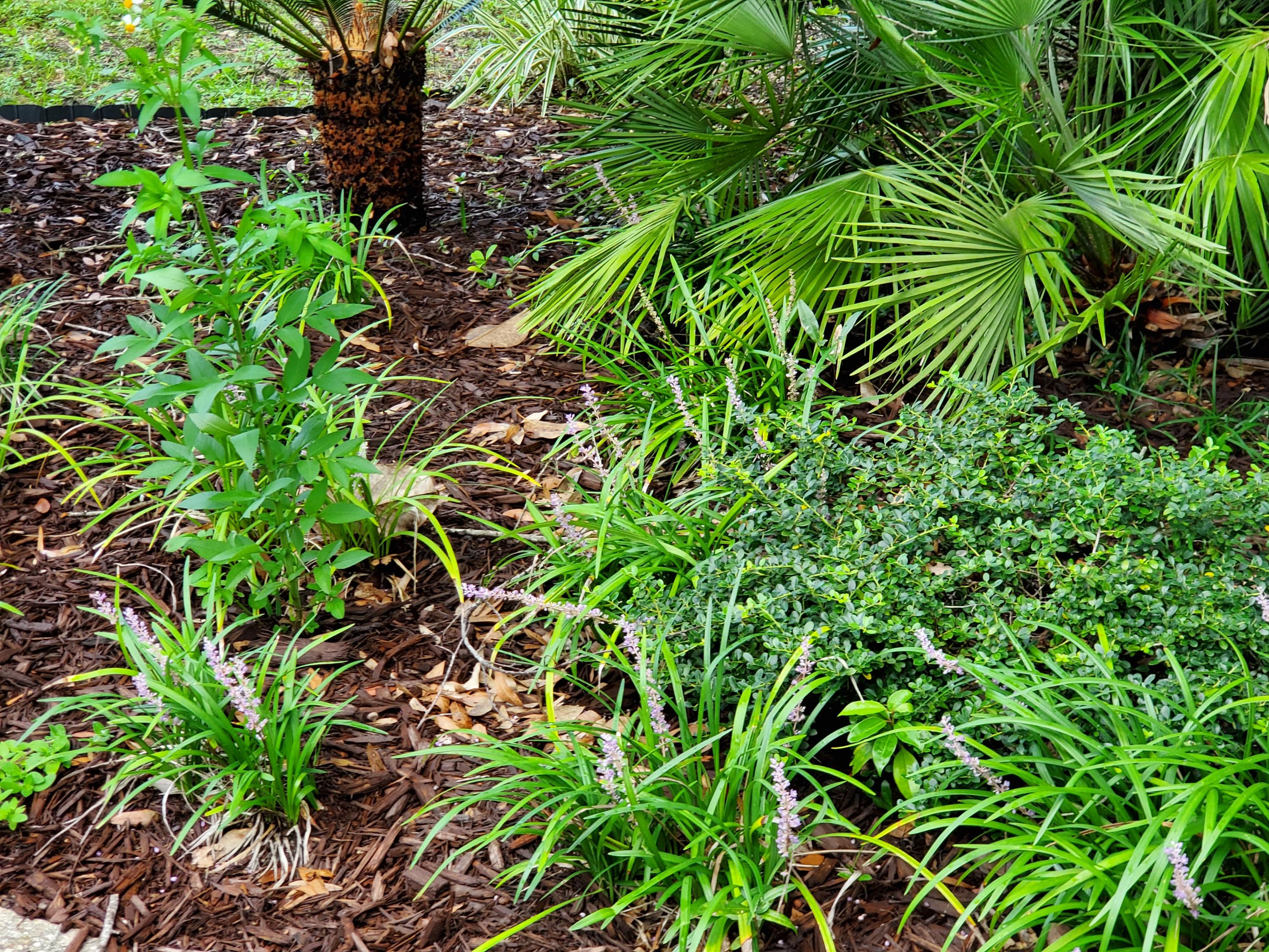 Valparaiso Plat 1 - Residential