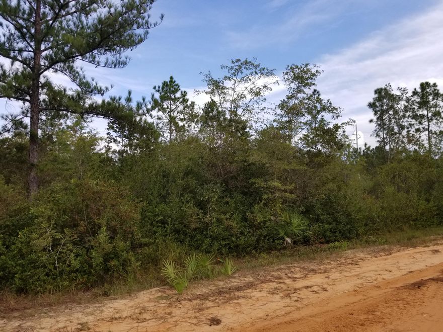This 18.32 acre parcel of wooded land would be great for hunting, farming or ranching. Or if you are just looking for a secluded area for your new dream home, this one is for you. It is located 30 minutes from Panama City and near the international airport. There is a Gulf Power Line easement on this property. There are no utilities on this property and no septic tank. There is easy access with a well maintained road.