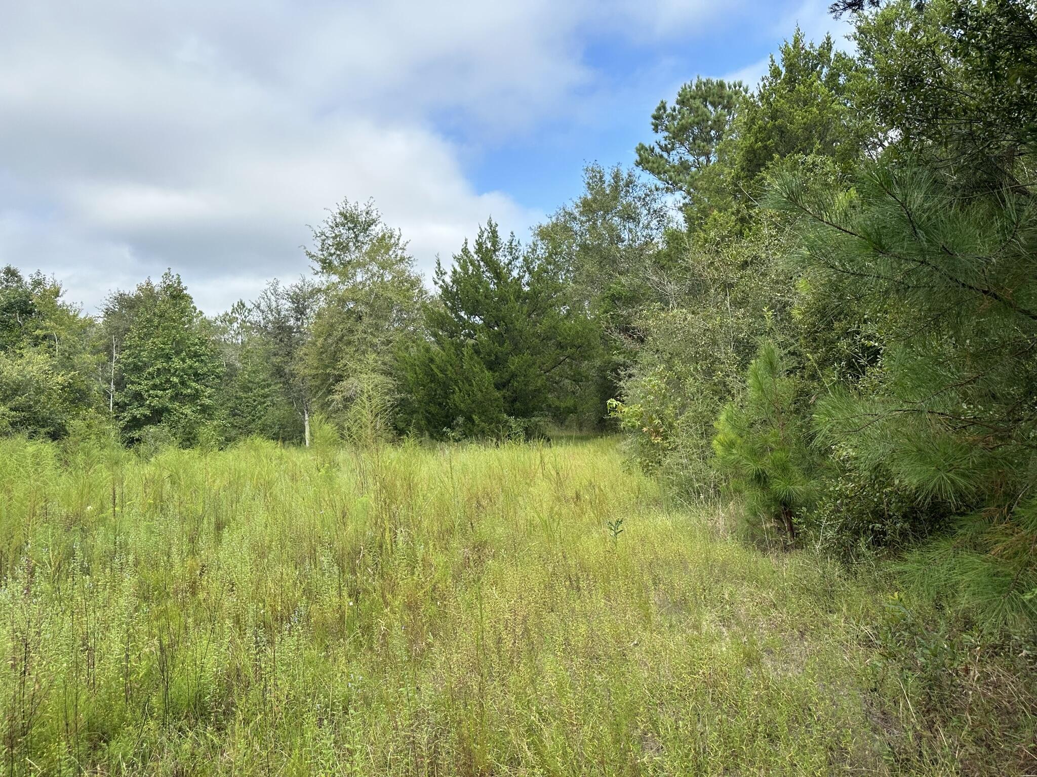 This 60 acres offers many opportunities! Makes for a great homesite, allowing plenty of privacy and within minutes from town! Nicely wooded, making it a hunters dream, as it offers plenty of wildlife. It also offers several locations for food plots with minimal clean up needed! Property is split by Valee Rd where you have 45 acres on one side and 15 acres on the other. It also features a creek branch that runs lengthwise down the edge of the property but still offers approximately 50 acres of high and dry land!