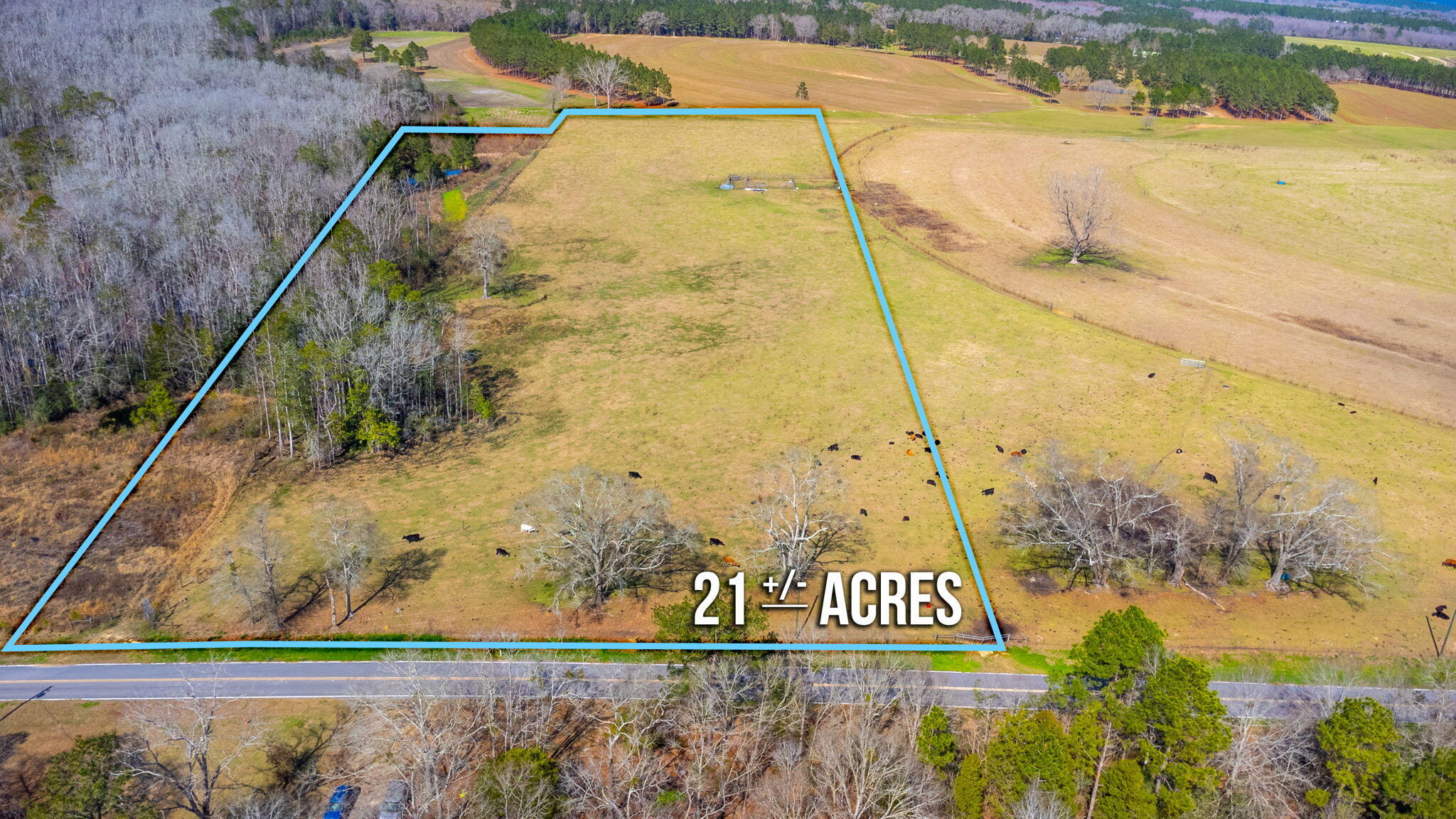 Looking for a 20.55-acre parcel with paved road frontage away from the hustle and bustle! A must see! Perfect private setting for your dream home or getaway or mini-farm. This 20.55-acre parcel of fenced pastureland on 3 sides in North Walton County, FL. has multiple homesite locations. Two spring fed ponds, a creek, food plot and paved road frontage. Abundant wildlife on this parcel including ducks, deer, turkeys, squirrel, quail and dove. 1 hour from the World's most beautiful beaches! Property currently has livestock on it. This property is located less than 3 miles from Gaskin Fire department (insurance rating) which has 24 hr. EMS staff onsite! Additional acreage adjoining property could be purchased with this parcel of land. Paxton School is #2 ranked K-12 school in Florida.