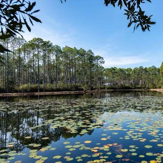 RIVERCAMPS ON CROOKED CREEK PH 2 MAP 44 LOT 130 ORB 4771 P 2075 - Land