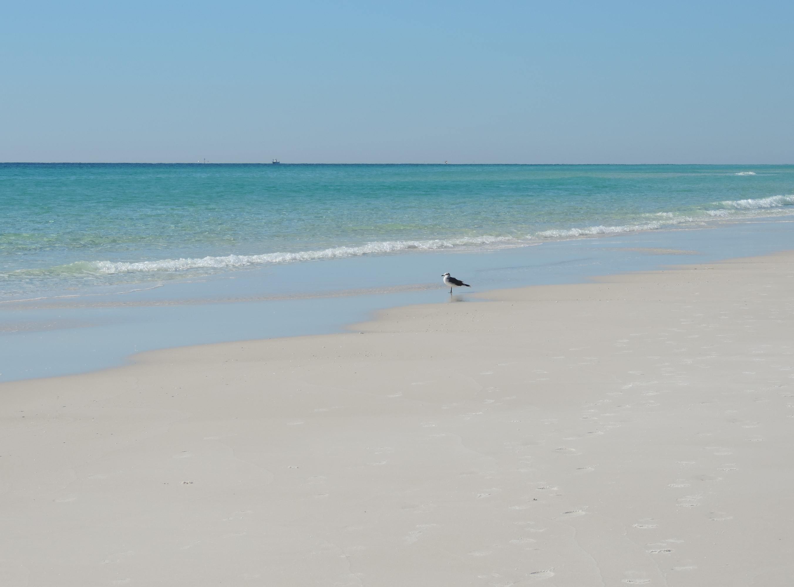 JADE EAST TOWERS CONDO - Residential