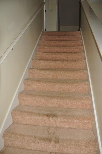 STEEPLECHASE PH 1 - Residential