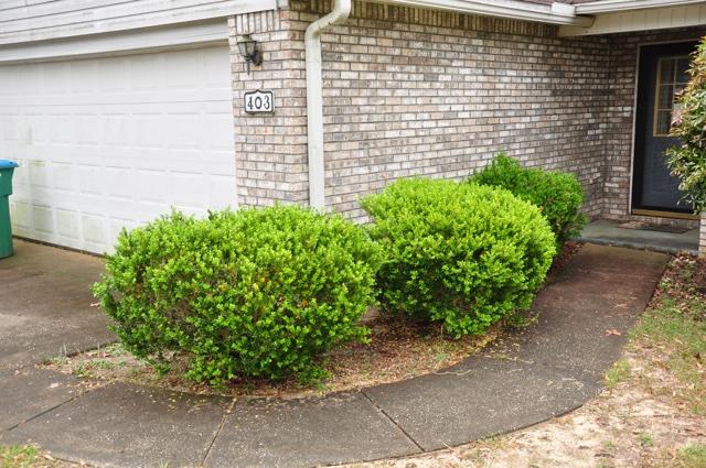 STEEPLECHASE PH 1 - Residential