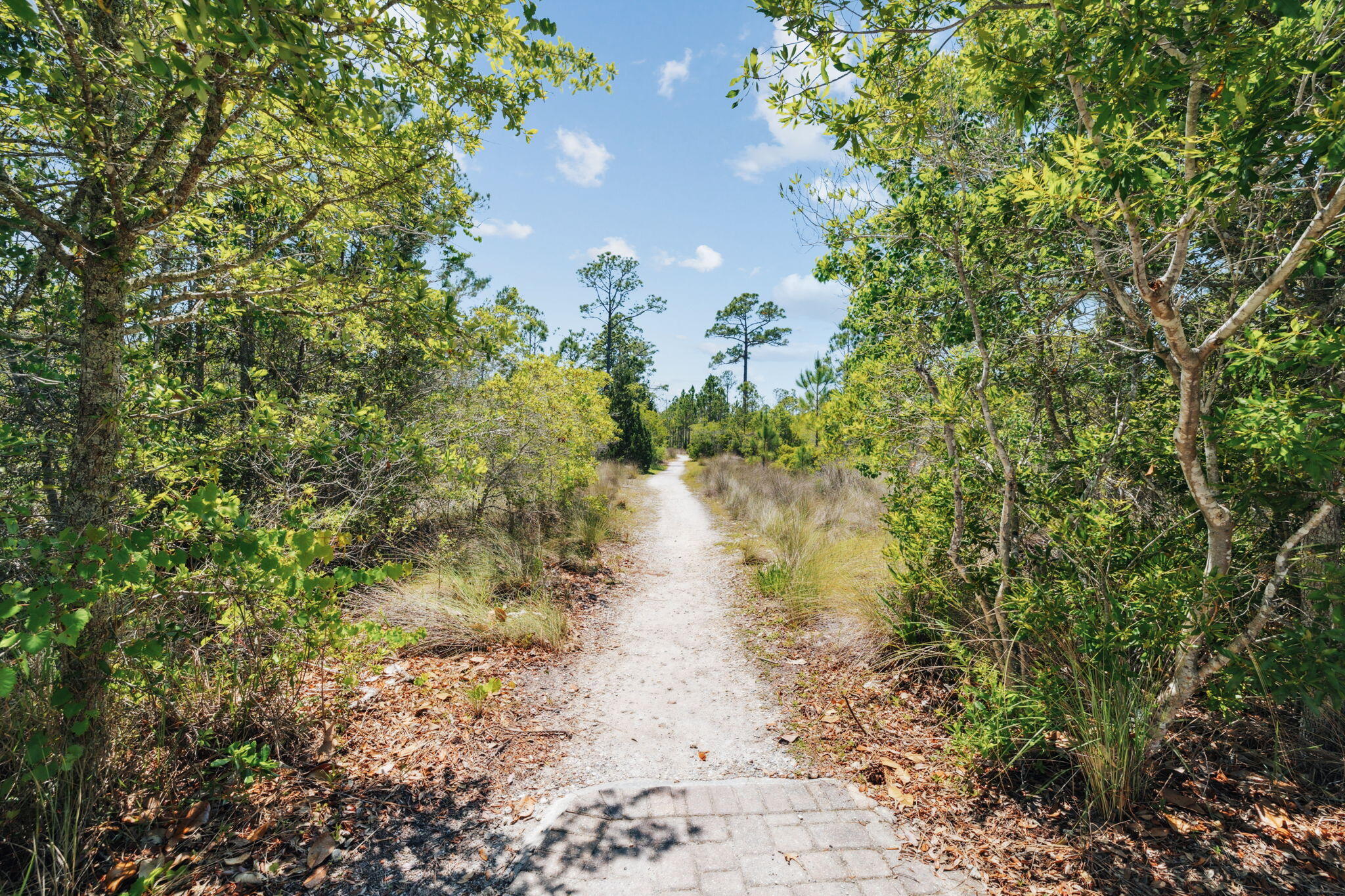 NATUREWALK AT SEAGROVE - Residential