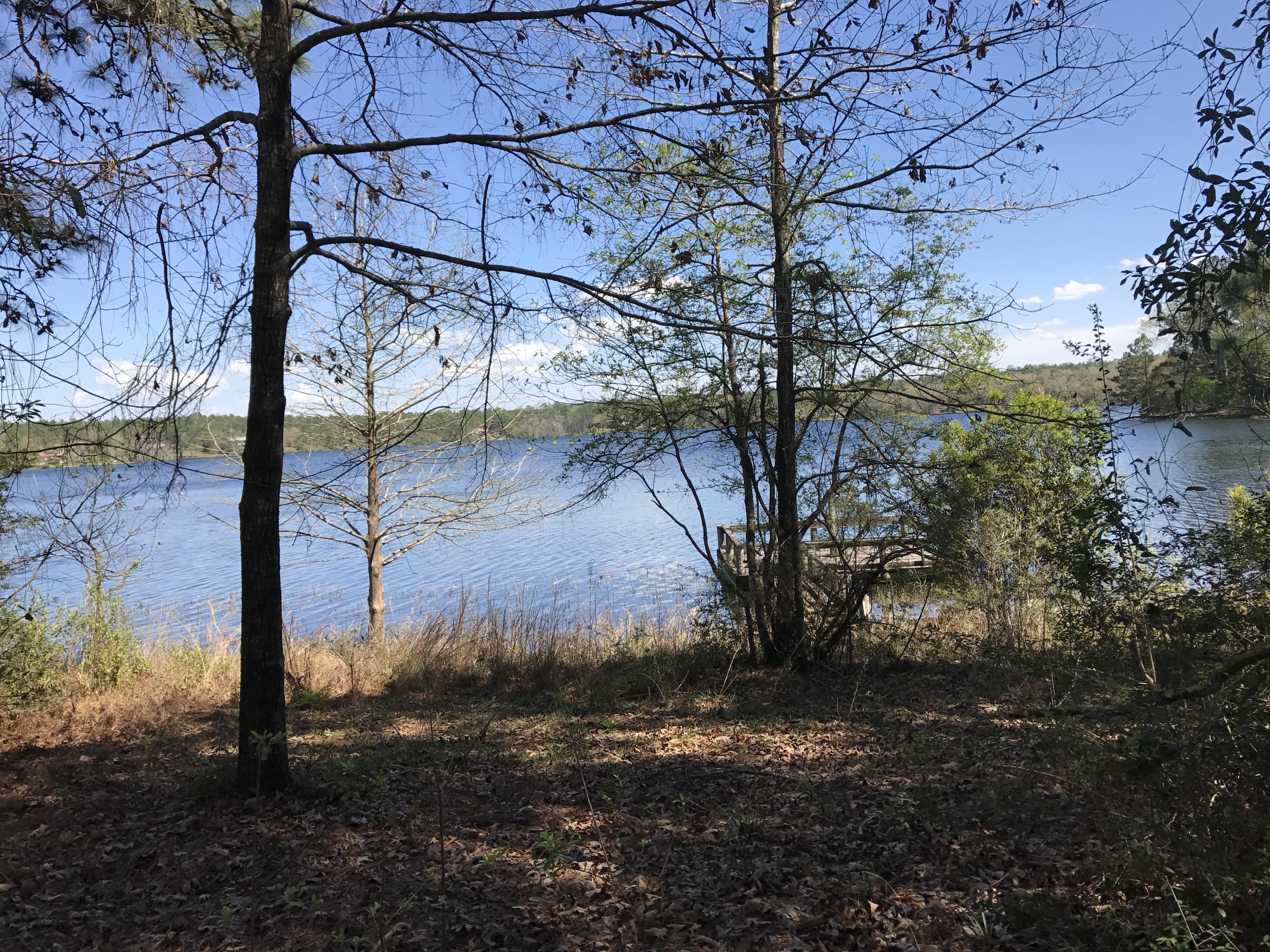 SPRING LAKE ESTATES - Land