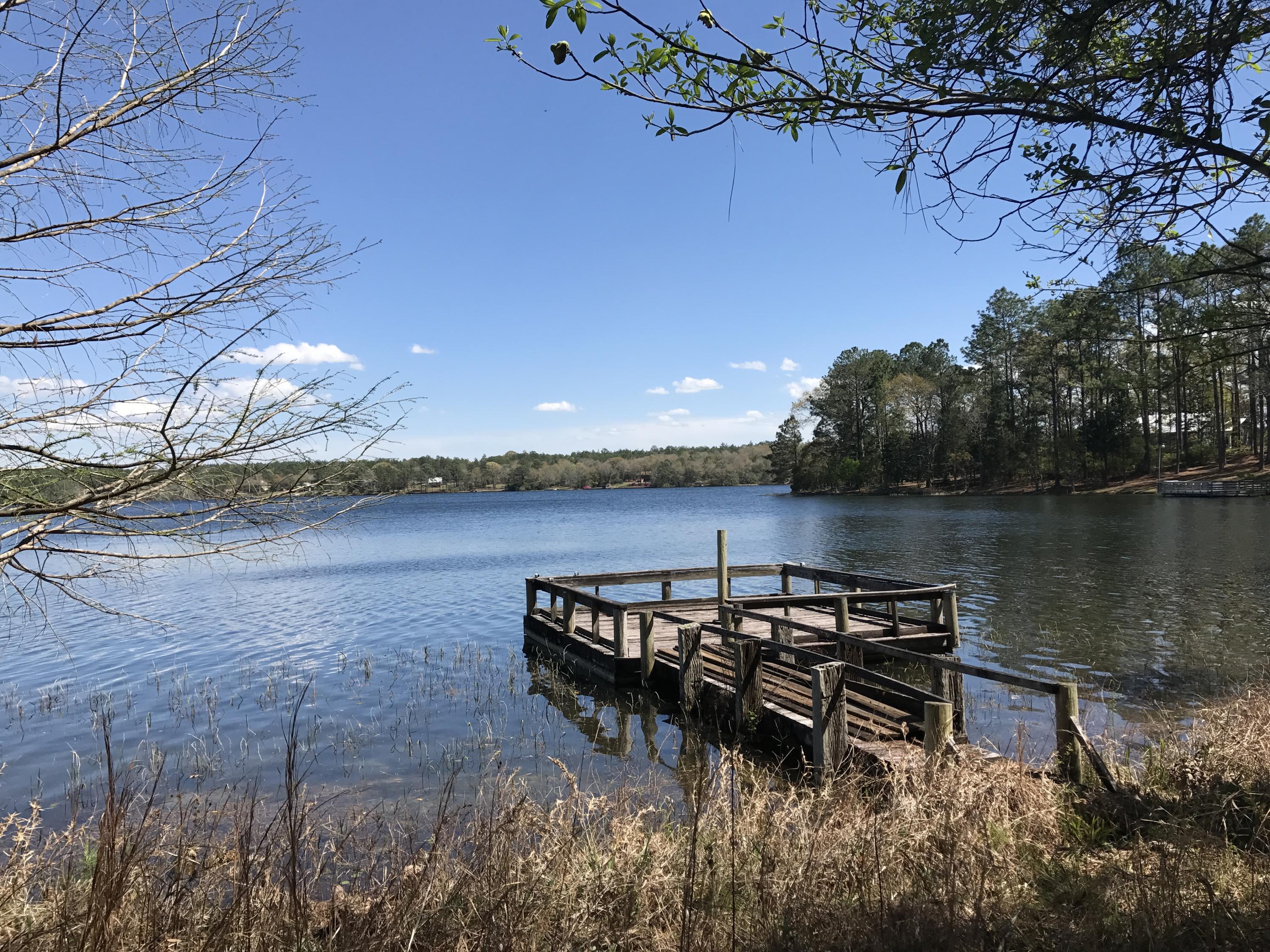 SPRING LAKE ESTATES - Land