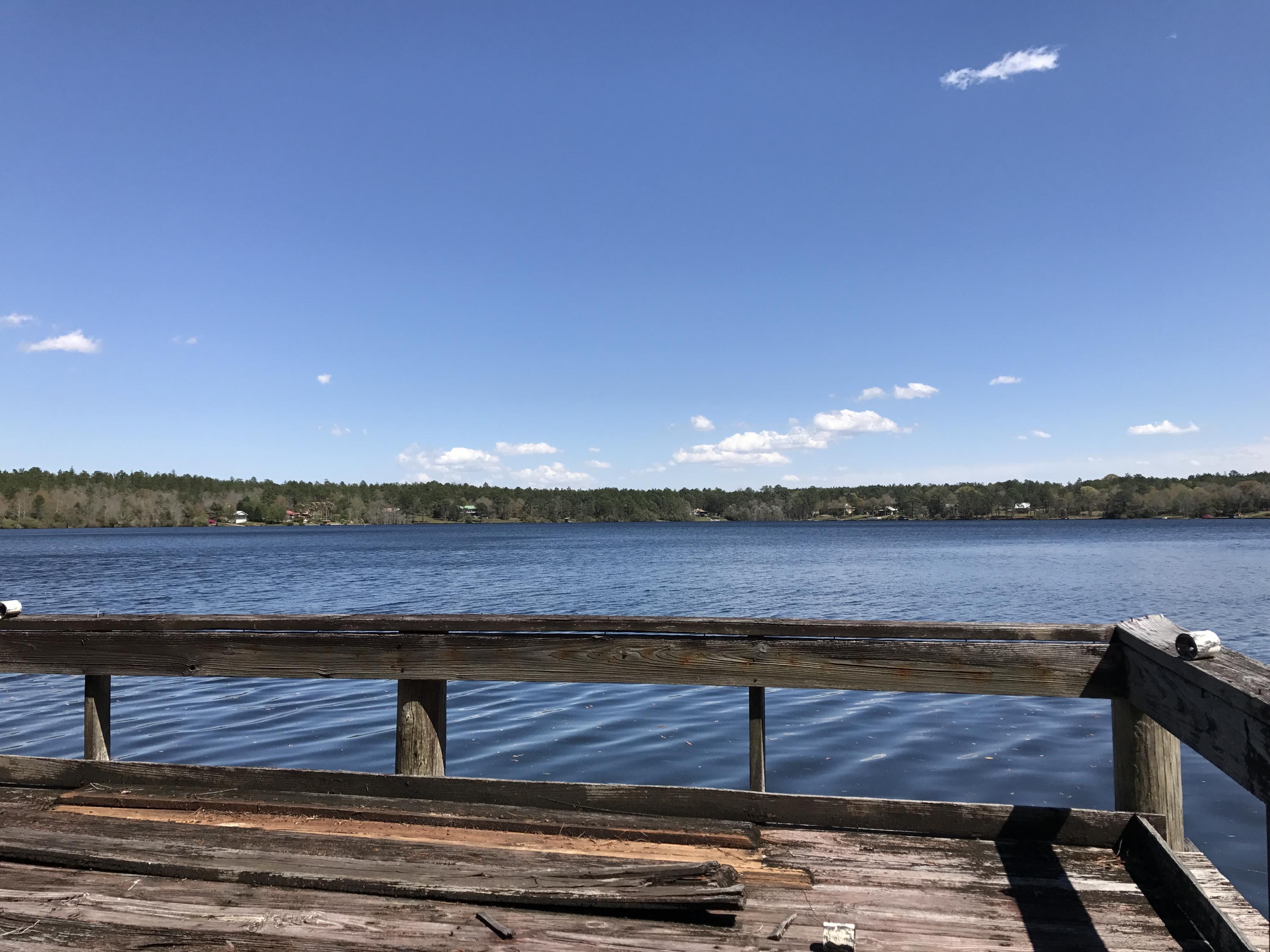SPRING LAKE ESTATES - Land