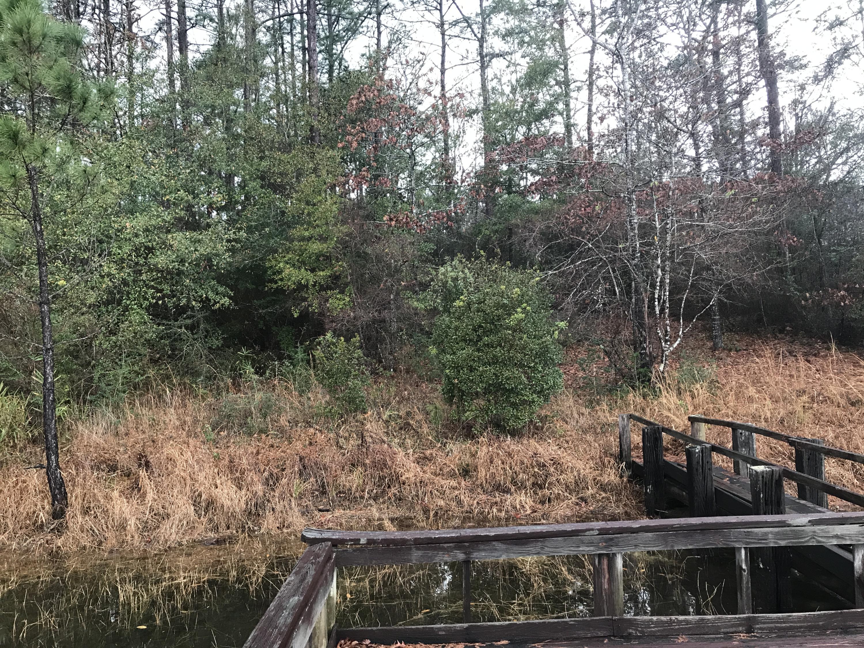 SPRING LAKE ESTATES - Land