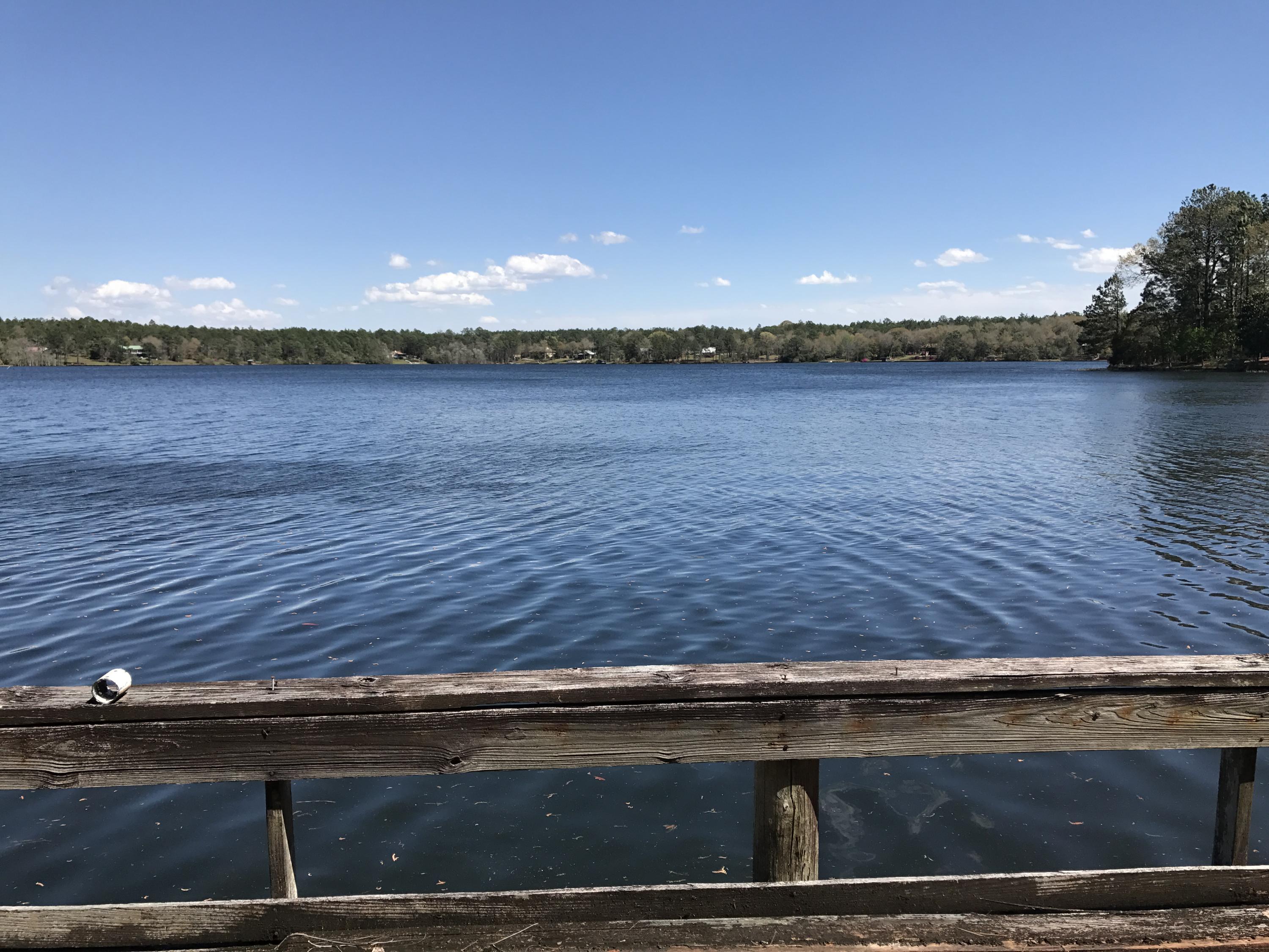 SPRING LAKE ESTATES - Land