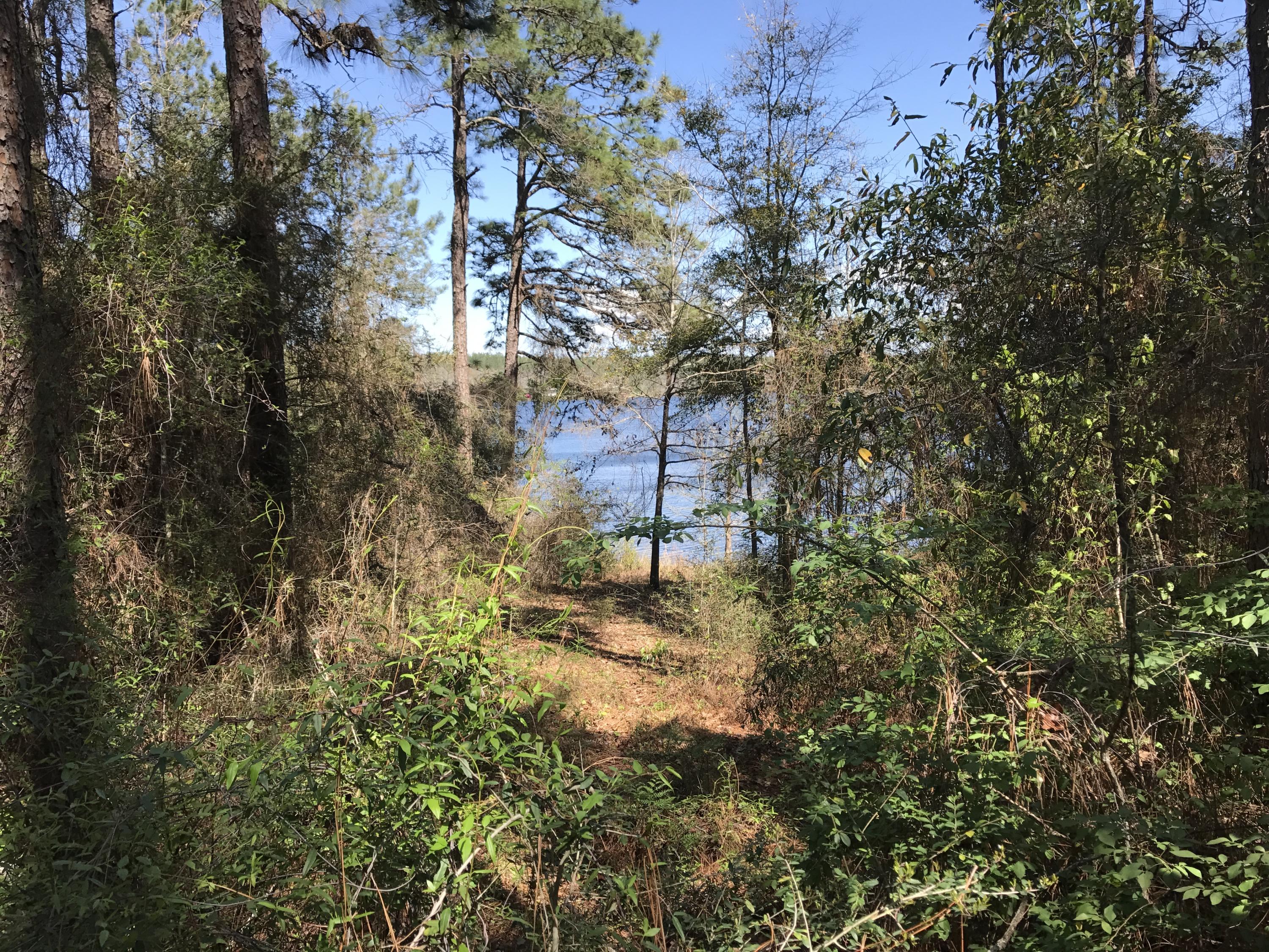 SPRING LAKE ESTATES - Land