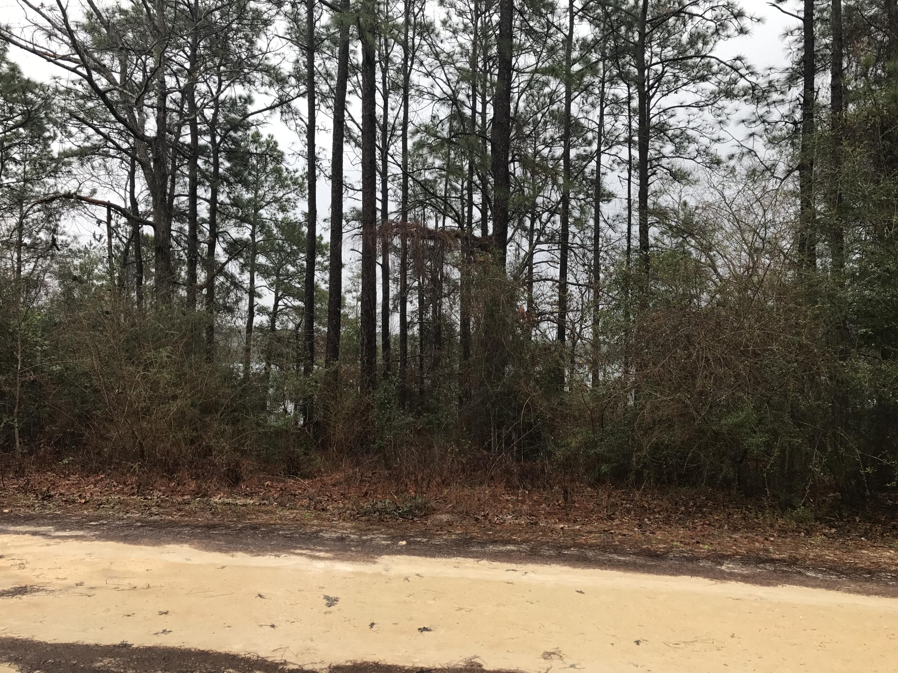 SPRING LAKE ESTATES - Land