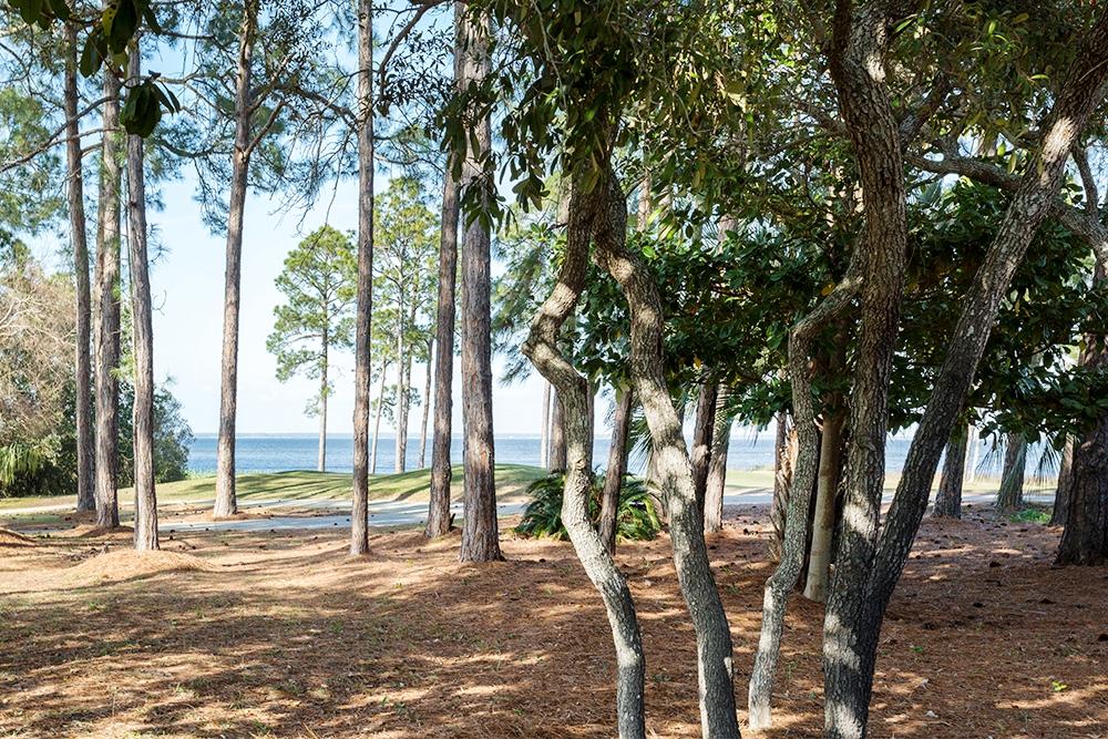 EMERALD BAY PH 1-B - Residential