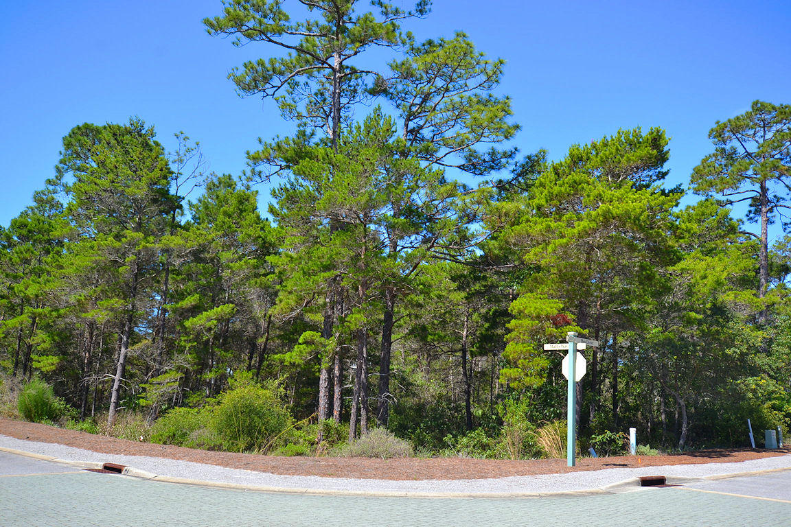 LAKESIDE AT BLUE MOUNTAIN BEACH - Land