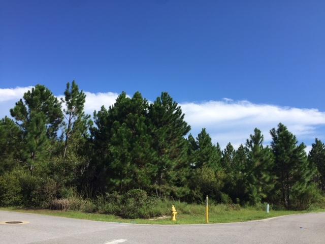 CYPRESS BREEZE PLANTATION - Land