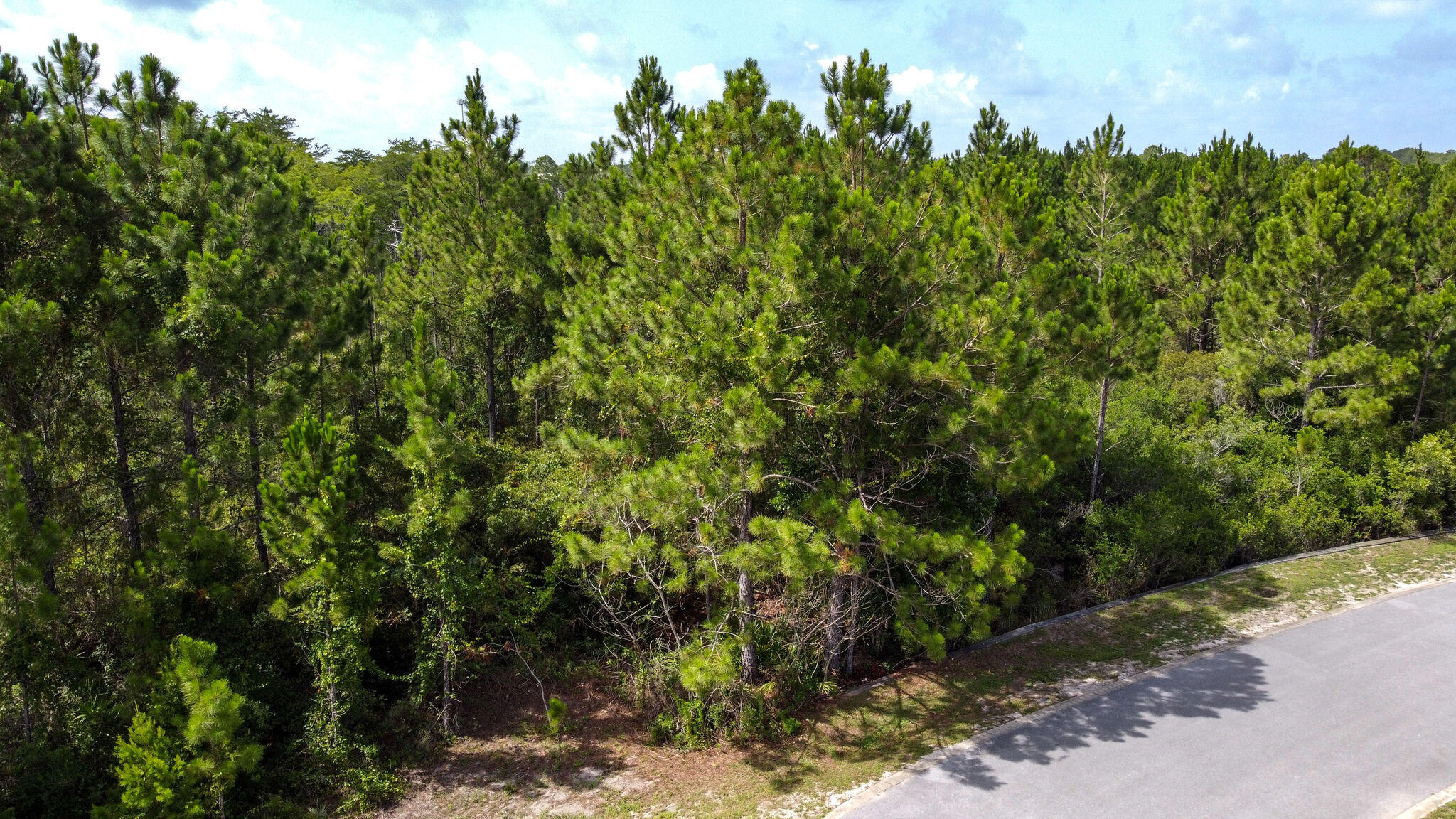 CYPRESS BREEZE PLANTATION - Land