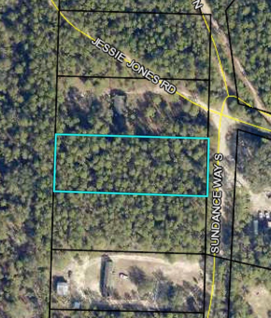 1.01 Acres of land high and dry leveled lot. Flood Zone X no flood insurance required. Power lines on road.