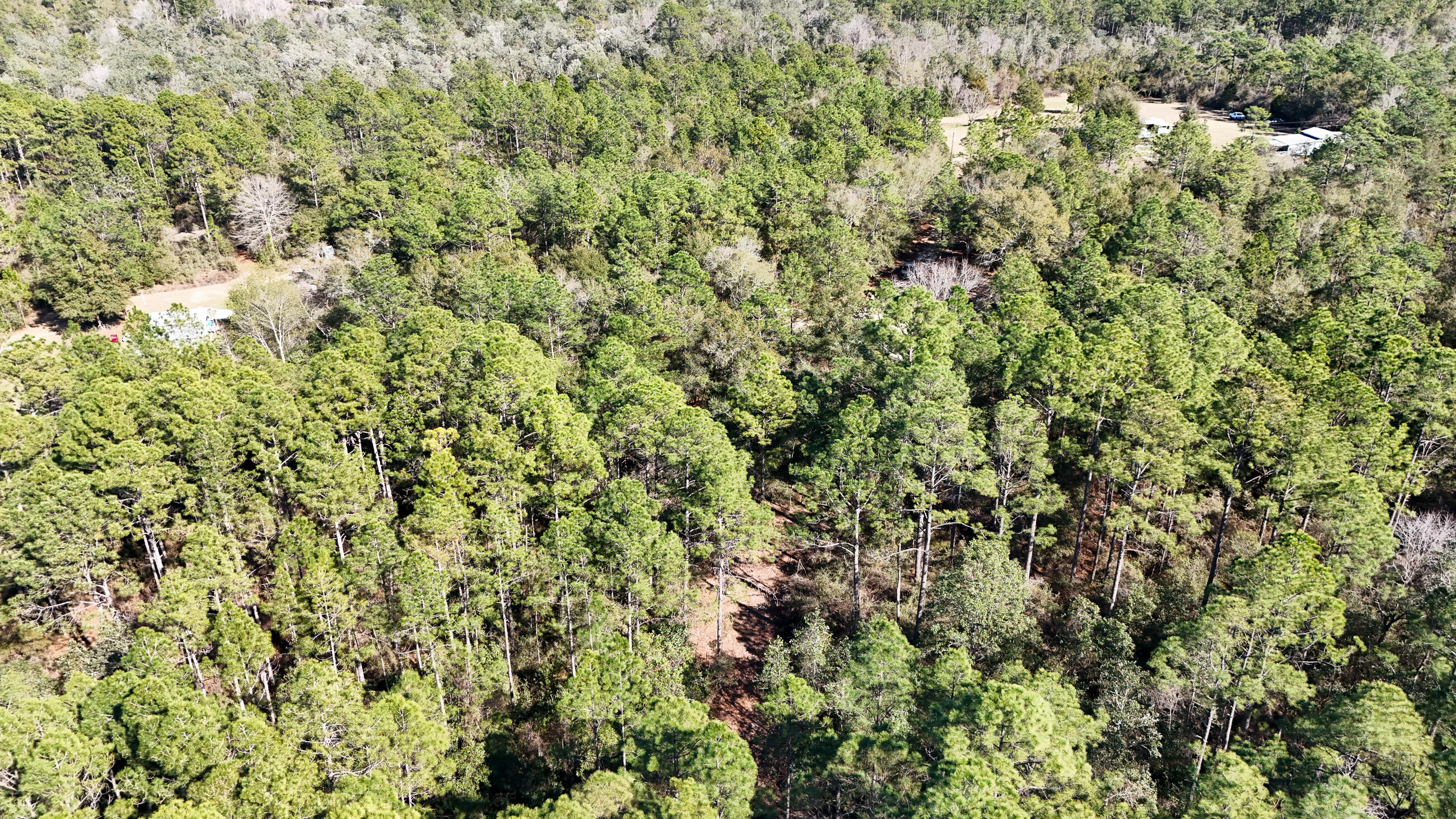 KING LAKE ESTATES - Land