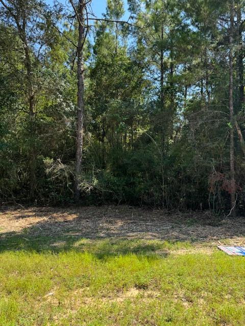 Fantastic 3.91 acres of vacant land approximately 20 minutes for downtown Crestview, just close enough for convenient shopping and medical facilities but far enough for peace and quiet of city life and traffic. Your own piece of paradise.