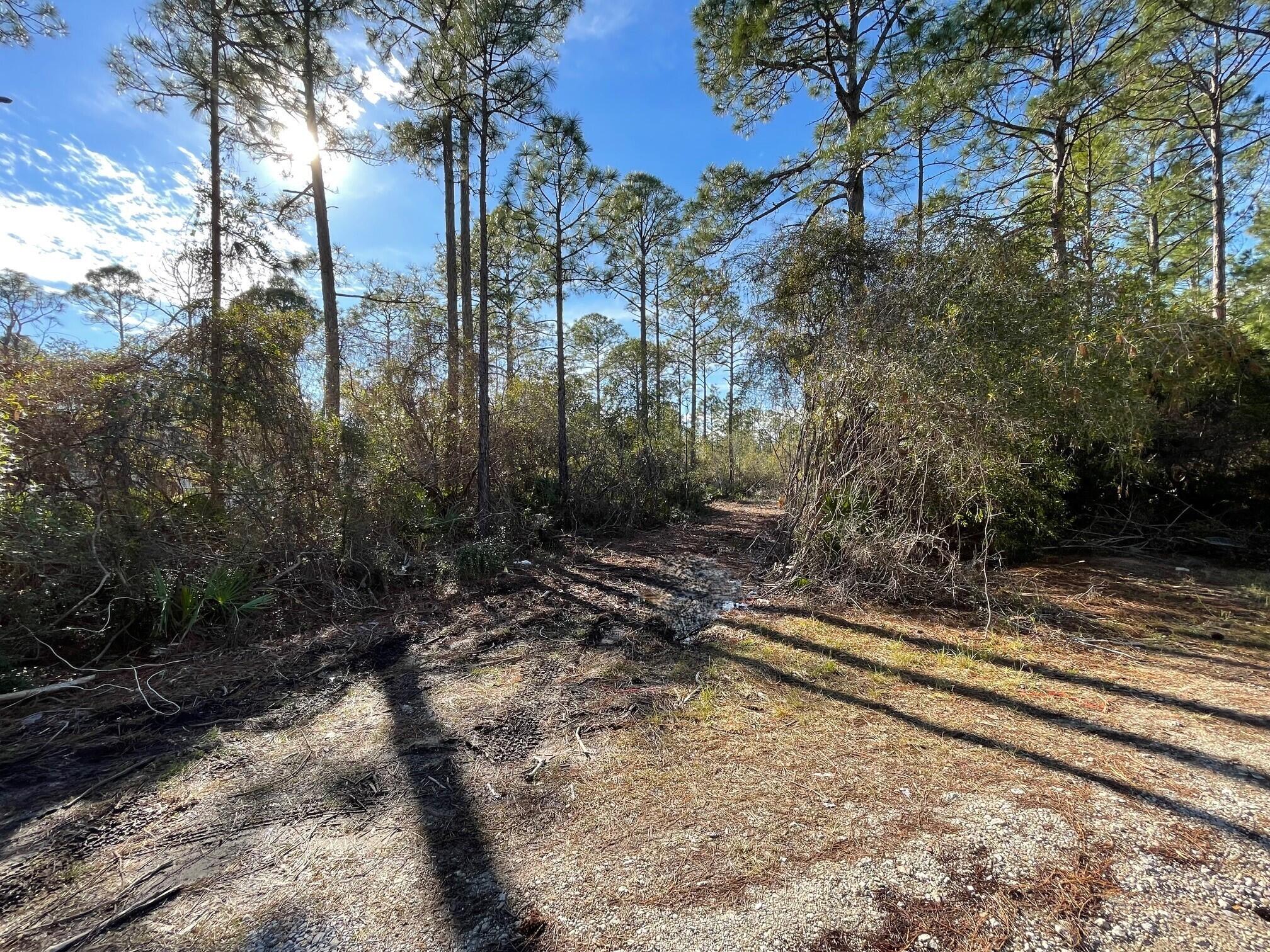 Imagine the possibilities with this beautiful 0.25-acre lot. Tucked away off the main road, this serene property is bordered by state land on its west side, providing a natural backdrop. Located just a short drive from the sugar-white sand beaches of the Emerald Coast, shopping, dining, and all the attractions that make Santa Rosa Beach a true gem, this property provides the perfect balance of seclusion and convenience.