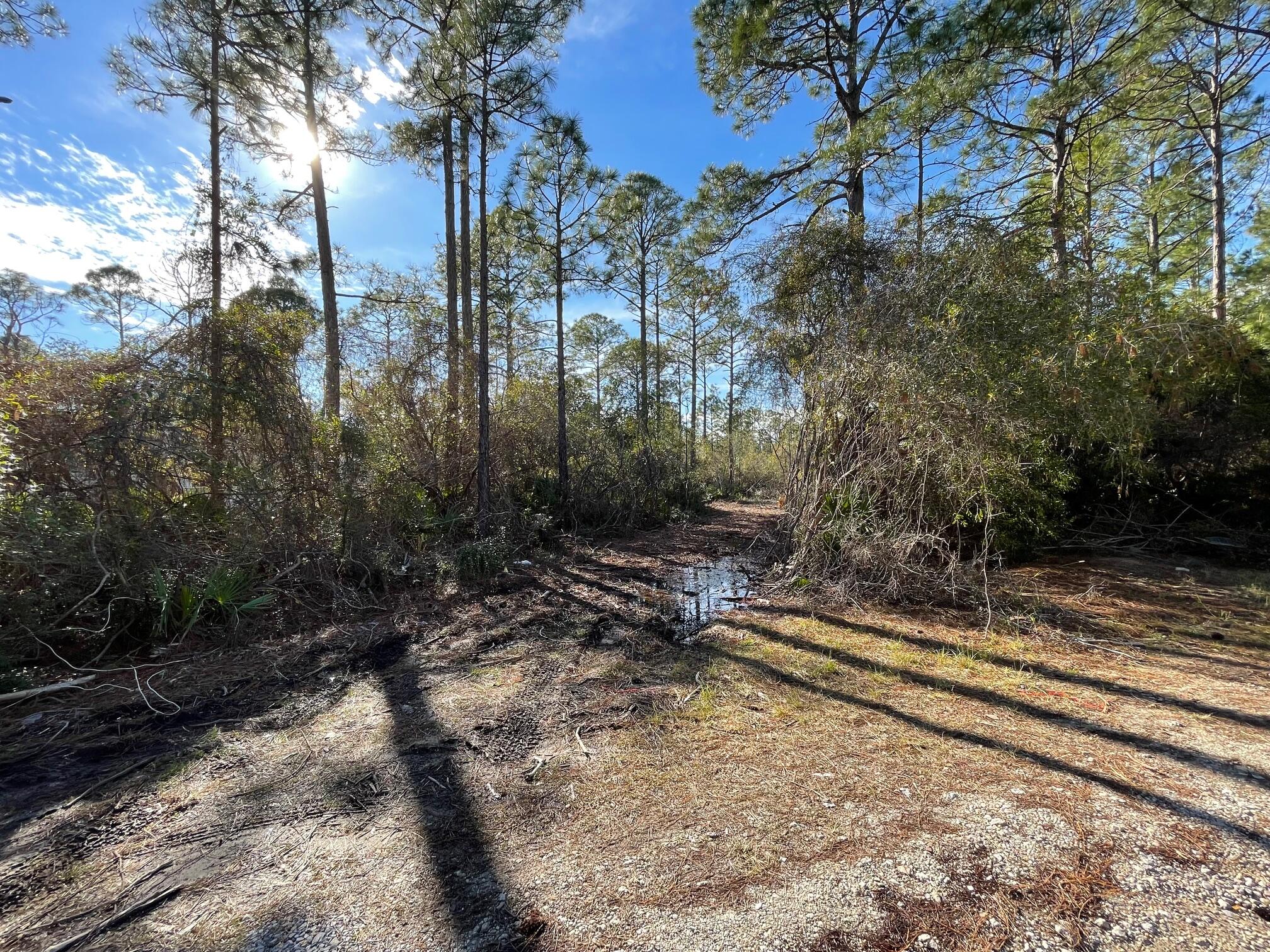 Imagine the possibilities with this beautiful 0.25-acre lot.  Tucked away off the main road, this serene property is bordered by state land on its west side, providing a natural backdrop.  Located just a short drive from the sugar-white sand beaches of the Emerald Coast, shopping, dining, and all the attractions that make Santa Rosa Beach a true gem, this property provides the perfect balance of seclusion and convenience.