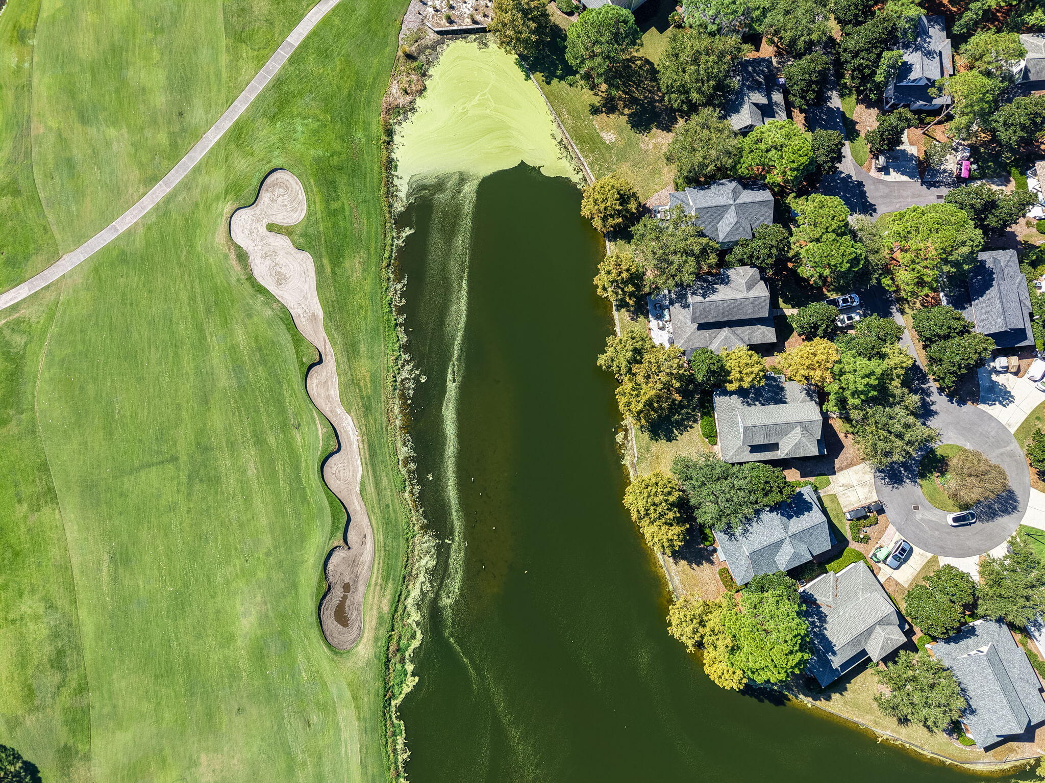 LAUREL GROVE - Residential