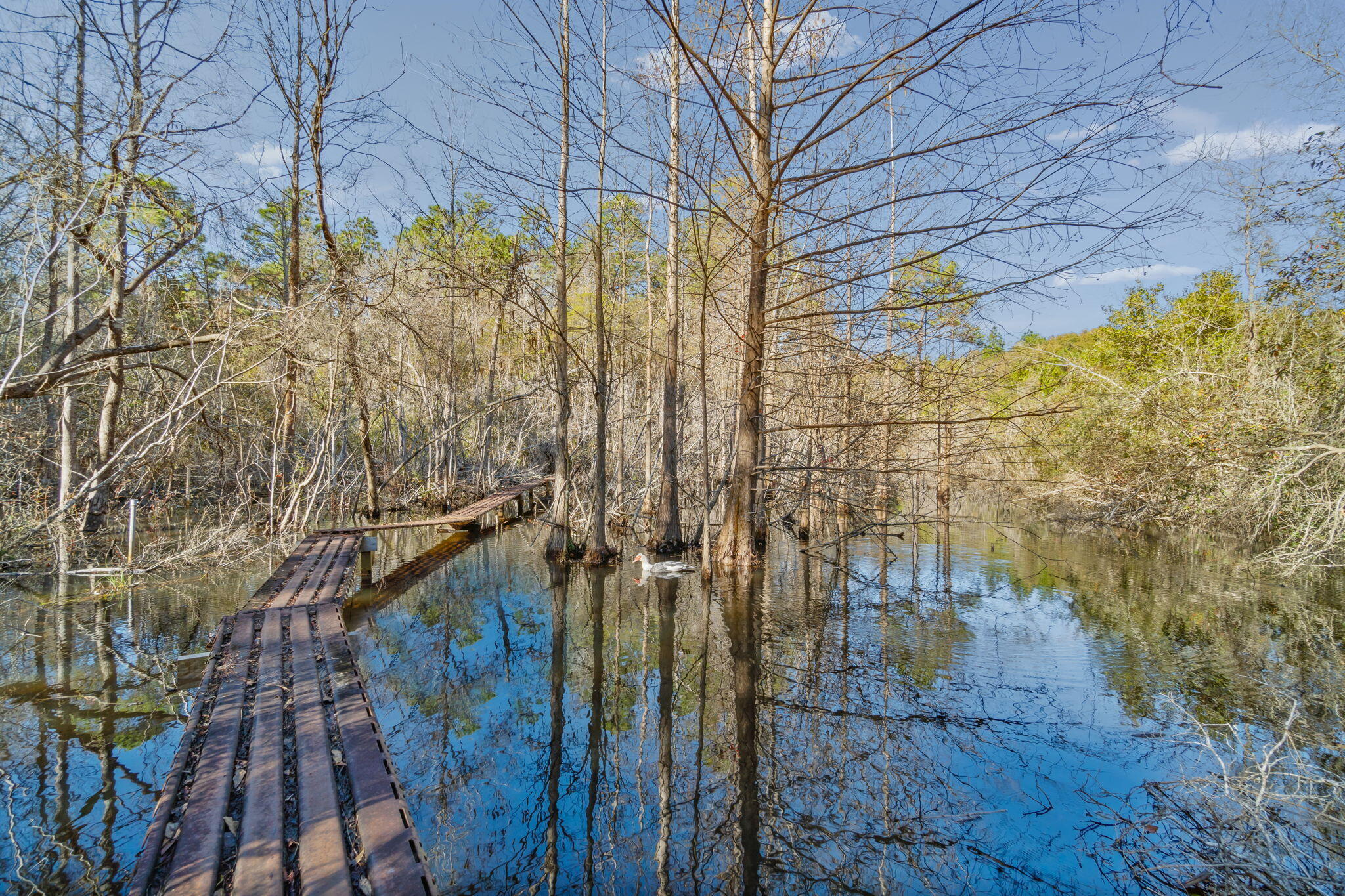 GRANDVIEW HEIGHTS - Residential Lease