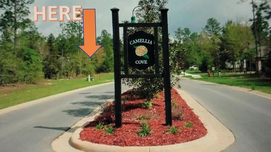 Back on Market, No fault of the seller. One of the few lots remaining in Camellia Cove where the average home price ranges from approx. $325,000- $575,000. This Community is best described as a small, wooded, quiet subdivision with curbs, deluxe streetlighting, underground utilities and sidewalks, ( to be built as homes are constructed). Conveniently located within a few minutes of shopping, theater, schools, restaurants, public library, post office and the Crestview Community Center. Winding roads, beautiful cul-de-sacs and beautiful trees make for a picturesque view. Welcome Home to Camellia Cove. ~ Bring your Builder ~