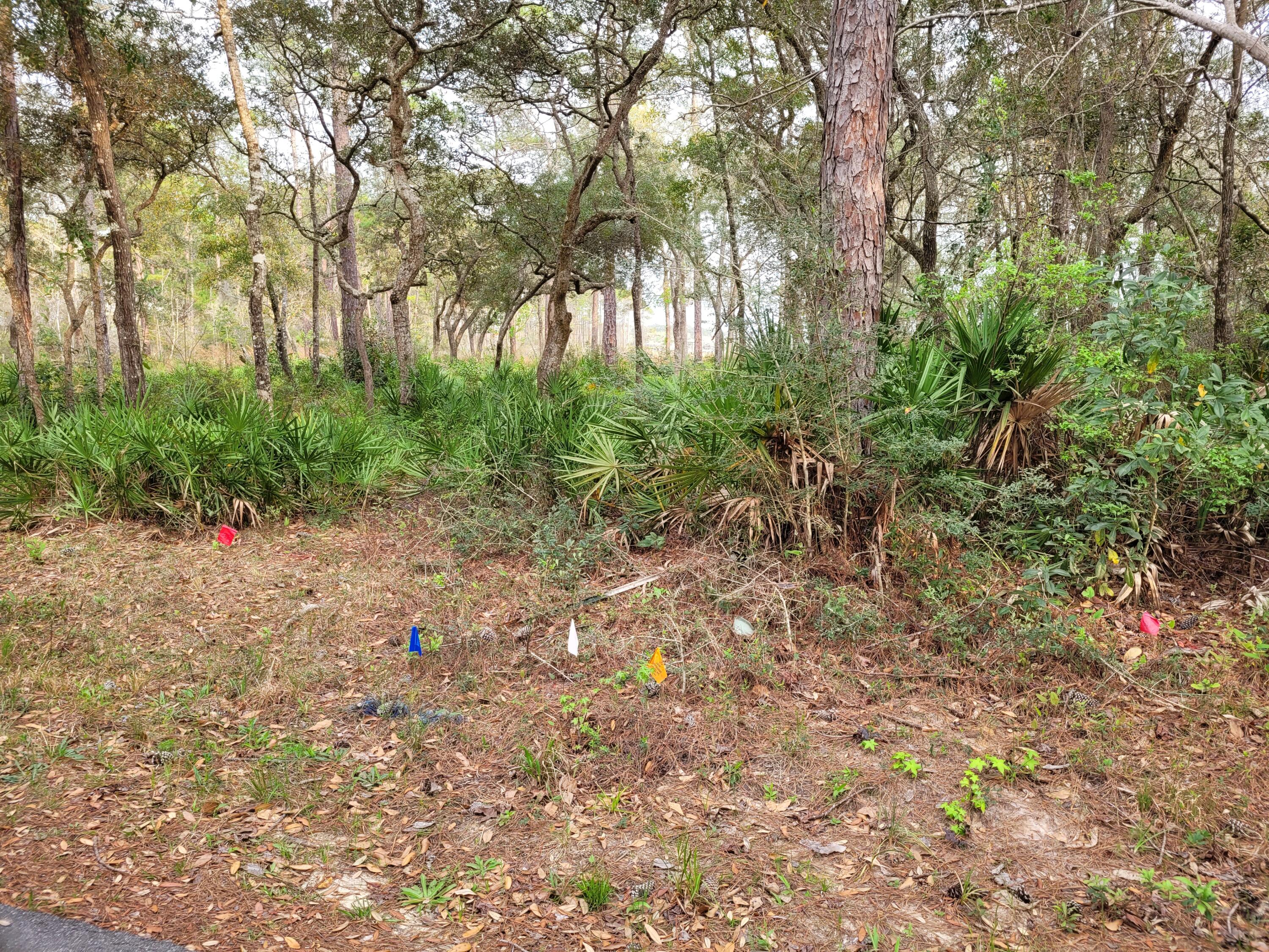 CROSS CREEK SHORES - Land