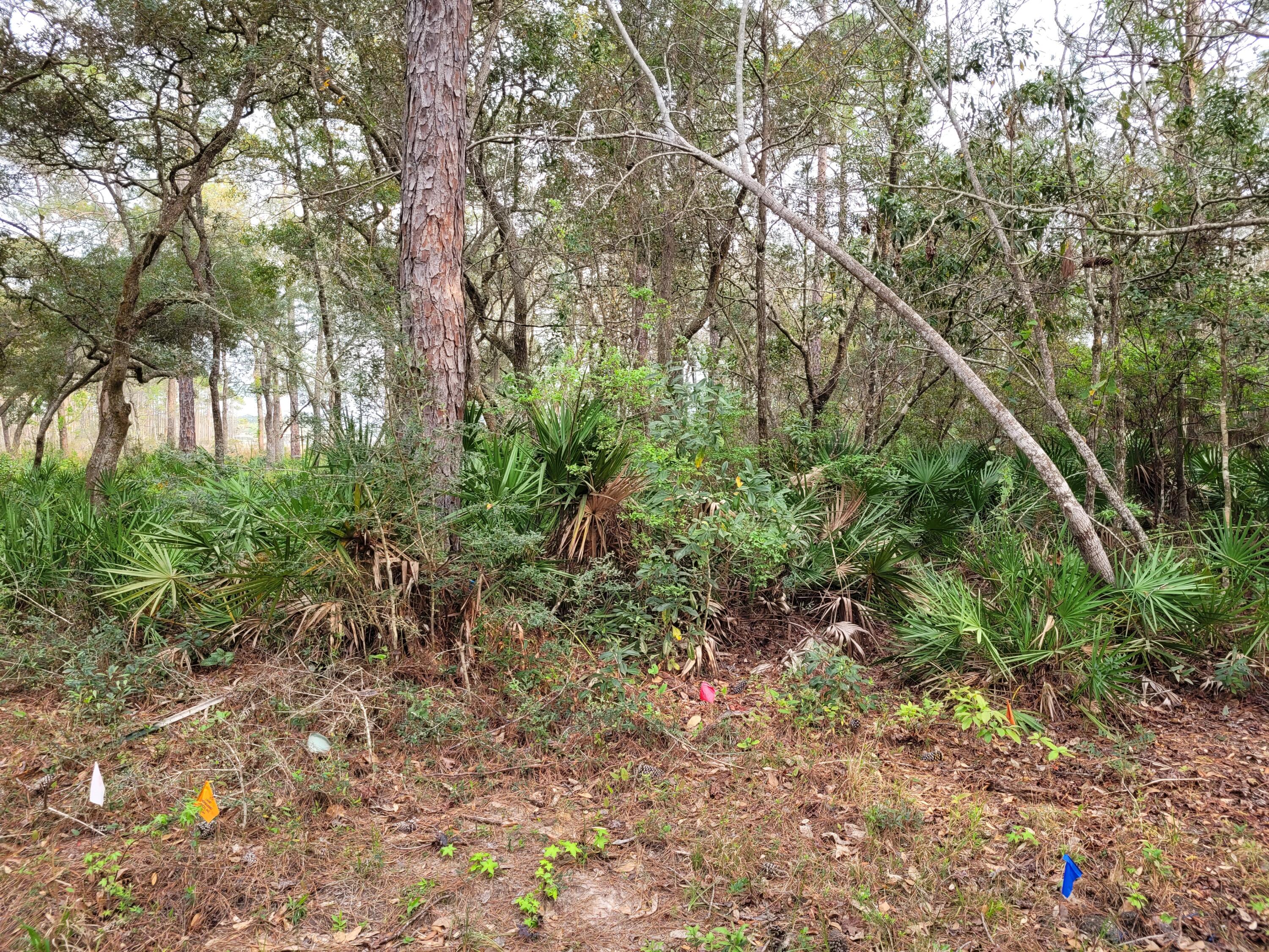 CROSS CREEK SHORES - Land