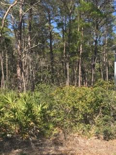 GREENWAY PARK - Land