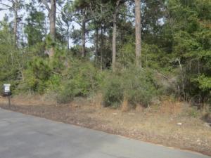 Great Lot next to Nice Neighboring Homes in an Established Neighborhood. Very close to Navarre Lumber, Publix and all the shopping Center has to offer. Navarre High School just down the Road as well as Holley-Navarre Elementary and Middle School. Build your Dream Home. Drive by and Dream It today!