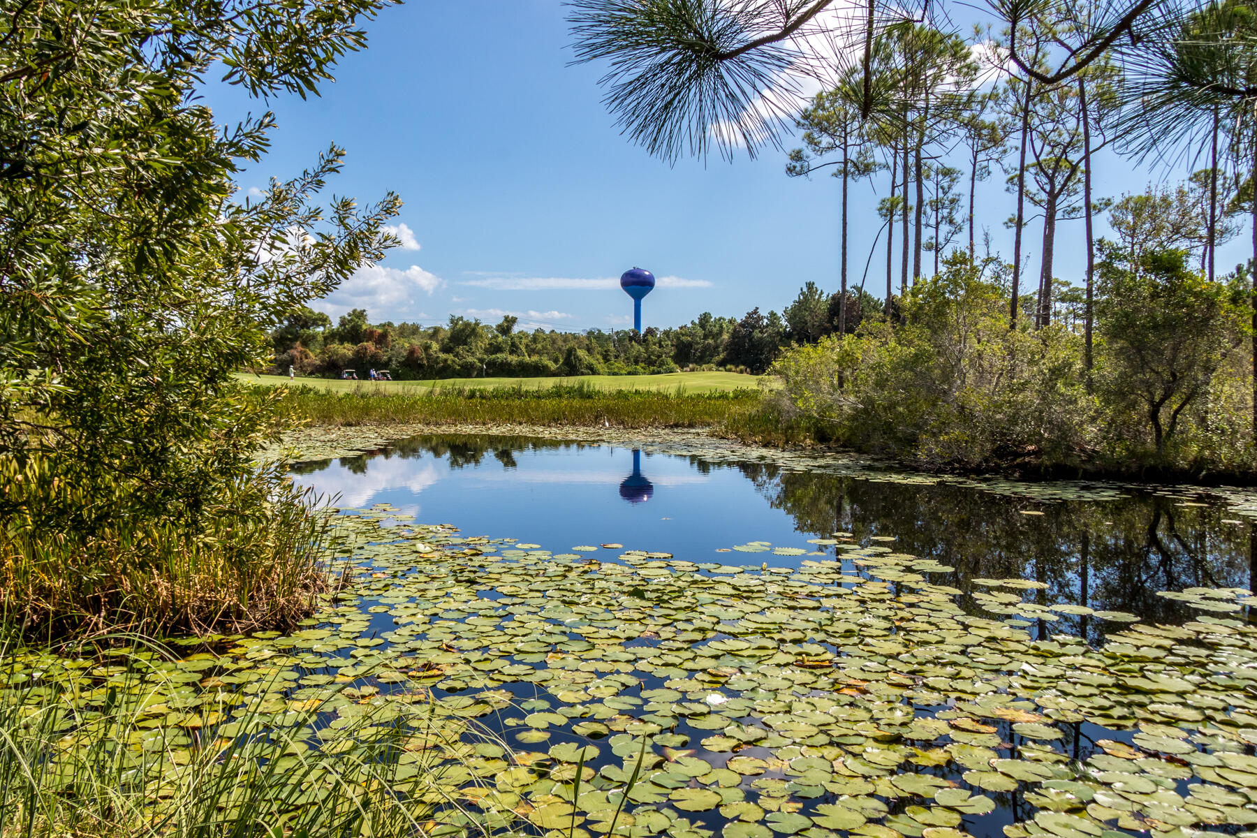 ONE WATER PLACE AT KELLY PLANTATION - Residential