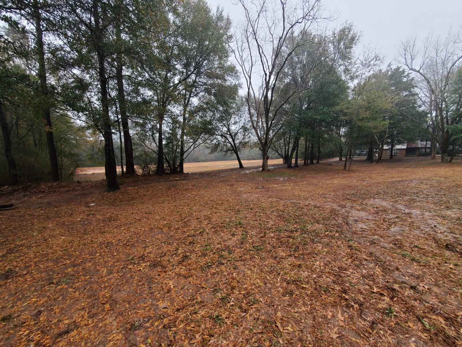 3 Acres Only