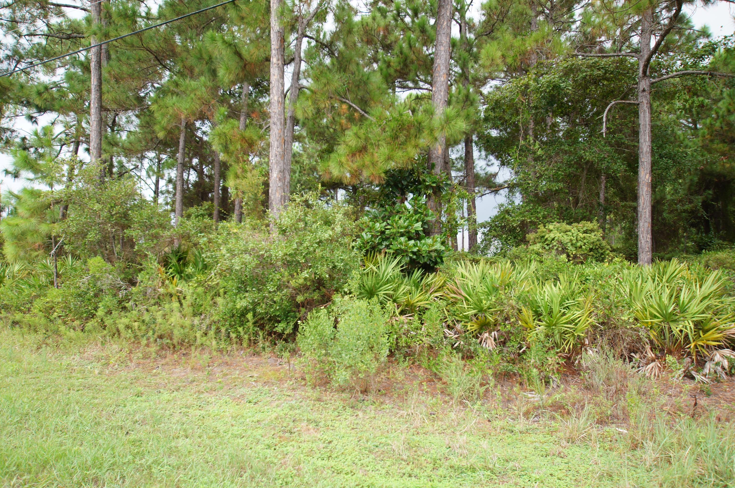 SANTA ROSA PLANTATION - Land