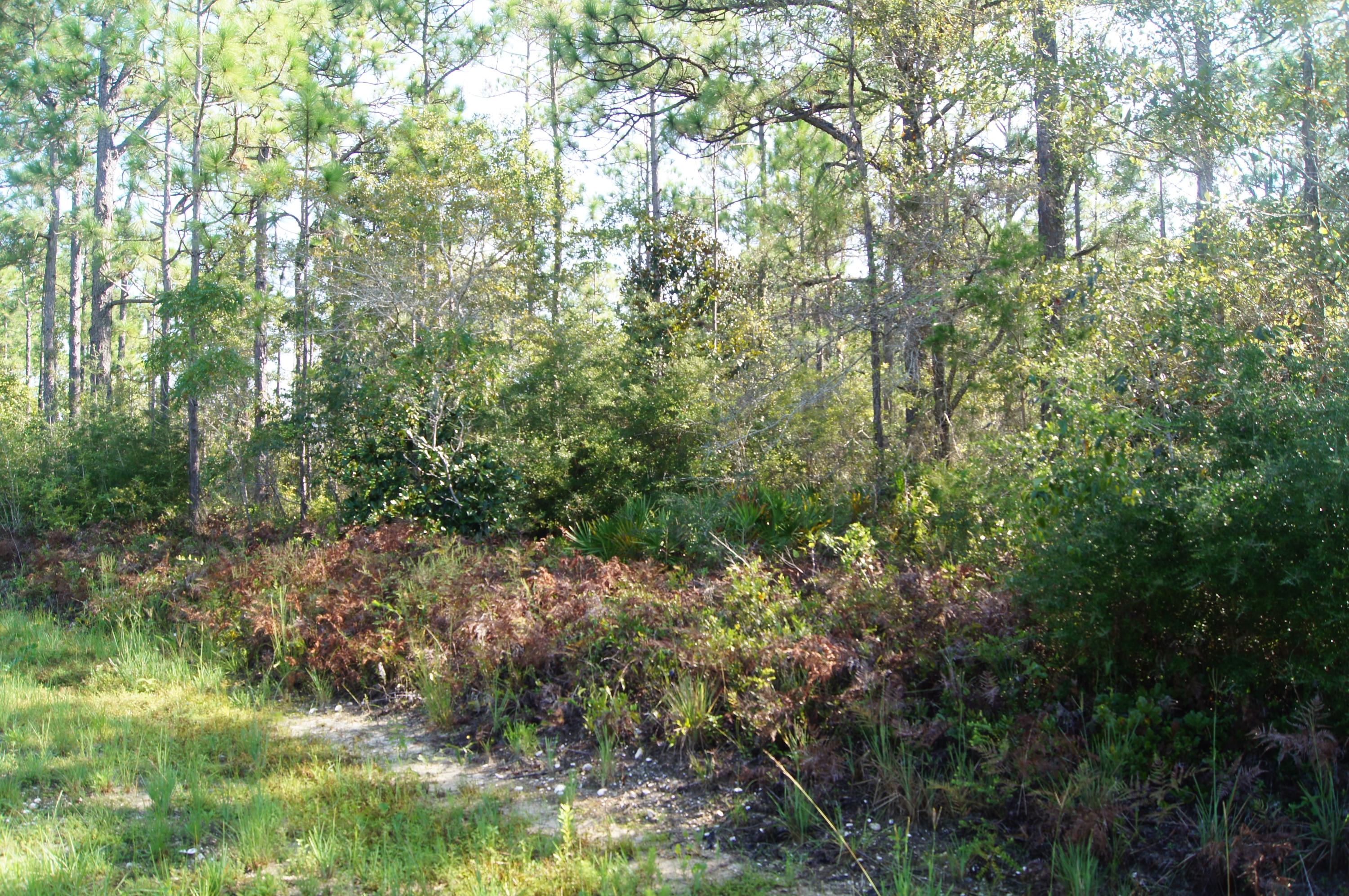 SANTA ROSA PLANTATION - Land