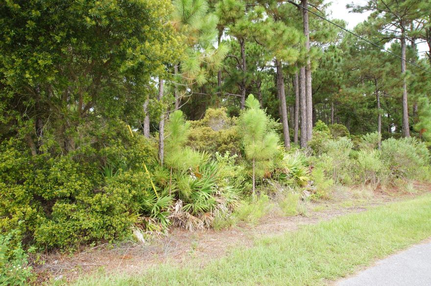 Approximately 10 wooded acres of land on Church Street. Located not far from Hogtown Bayou and Cessna Park with picnic tables, basketball court, boat launch and the beautiful bay. Also near the beach, shopping and Sacred Heart Hospital. This parcel is zoned conservation residential, 2 units per 1 acre. Buyer will need to have a wetlands study.