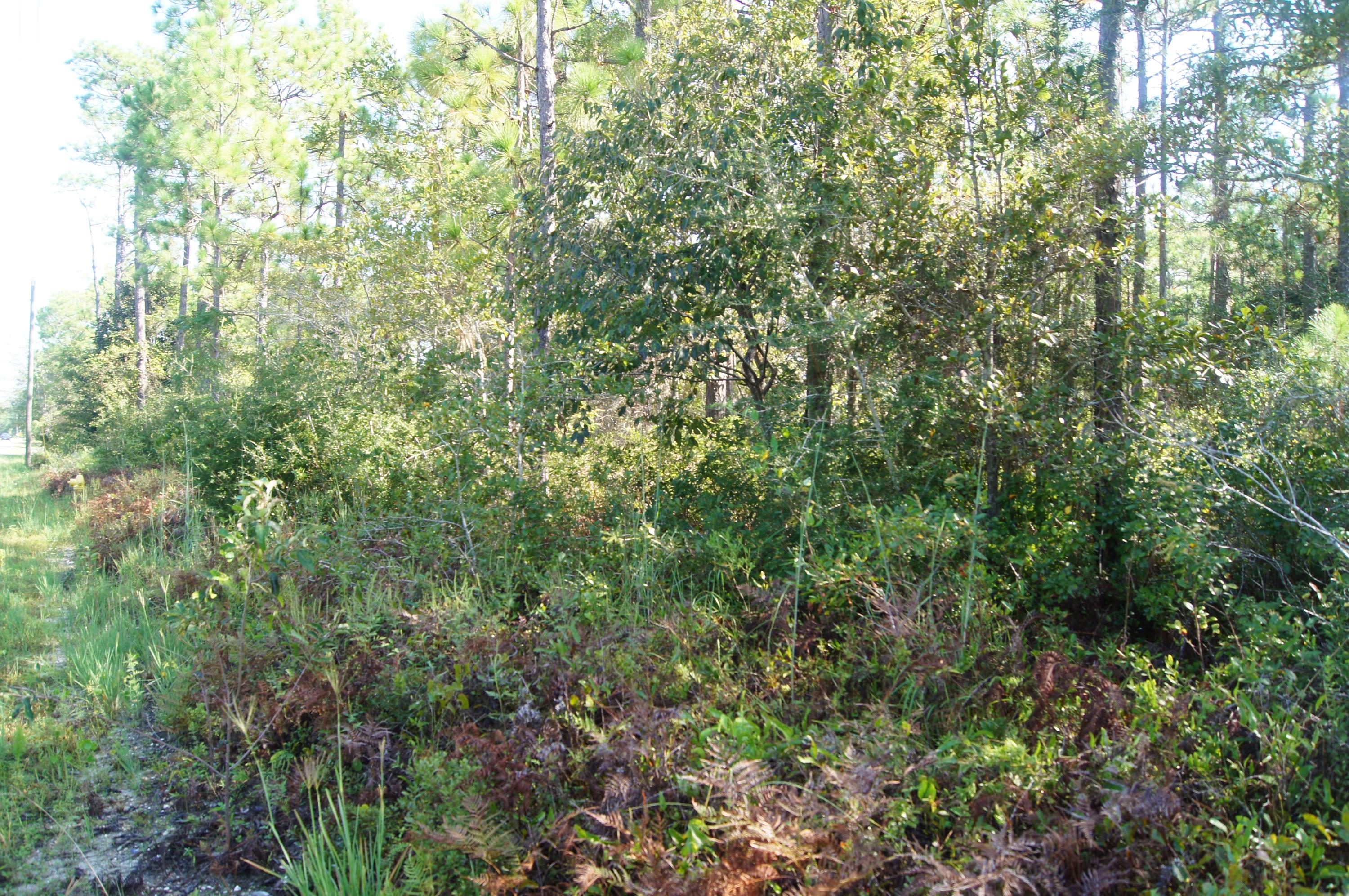 SANTA ROSA PLANTATION - Land