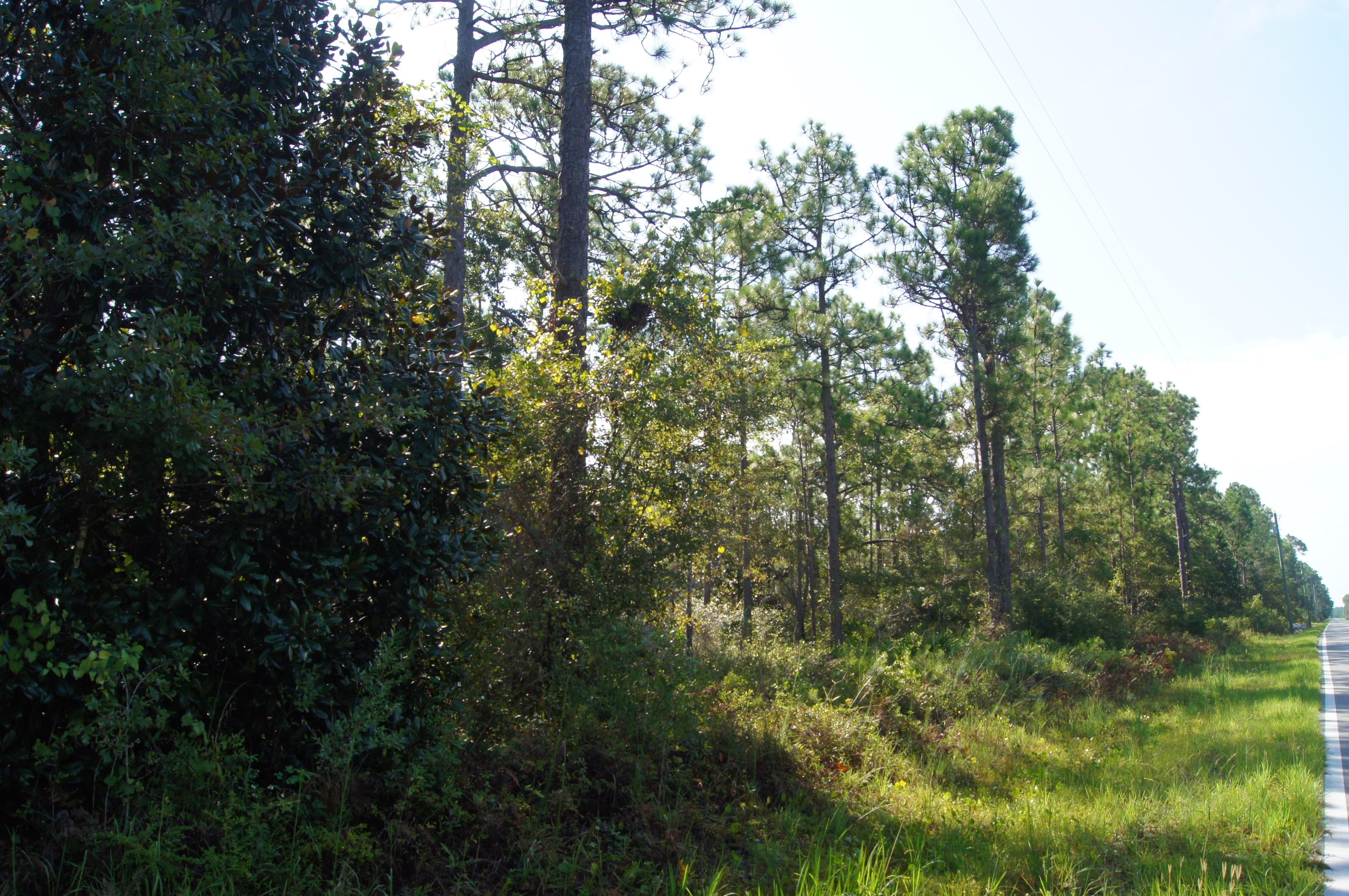 SANTA ROSA PLANTATION - Land