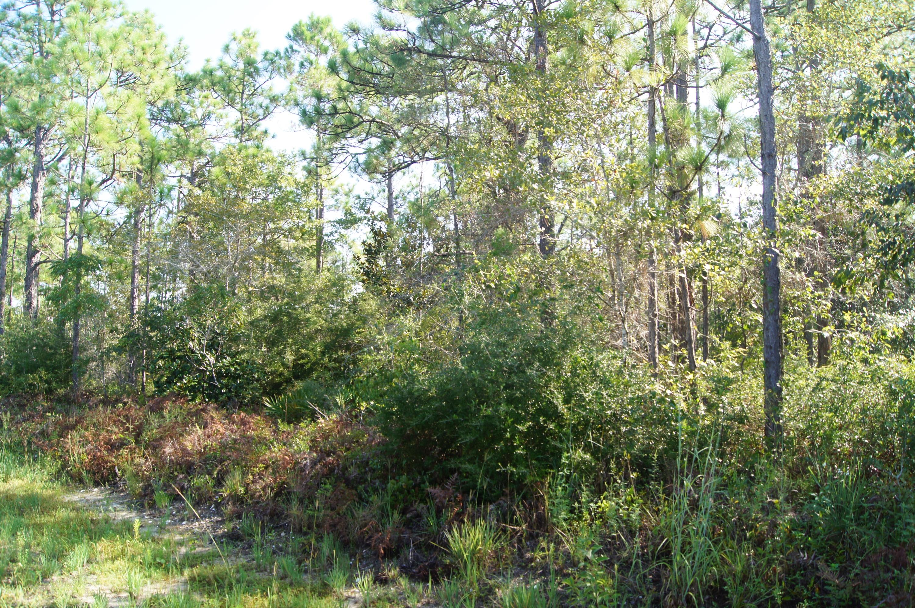 SANTA ROSA PLANTATION - Land