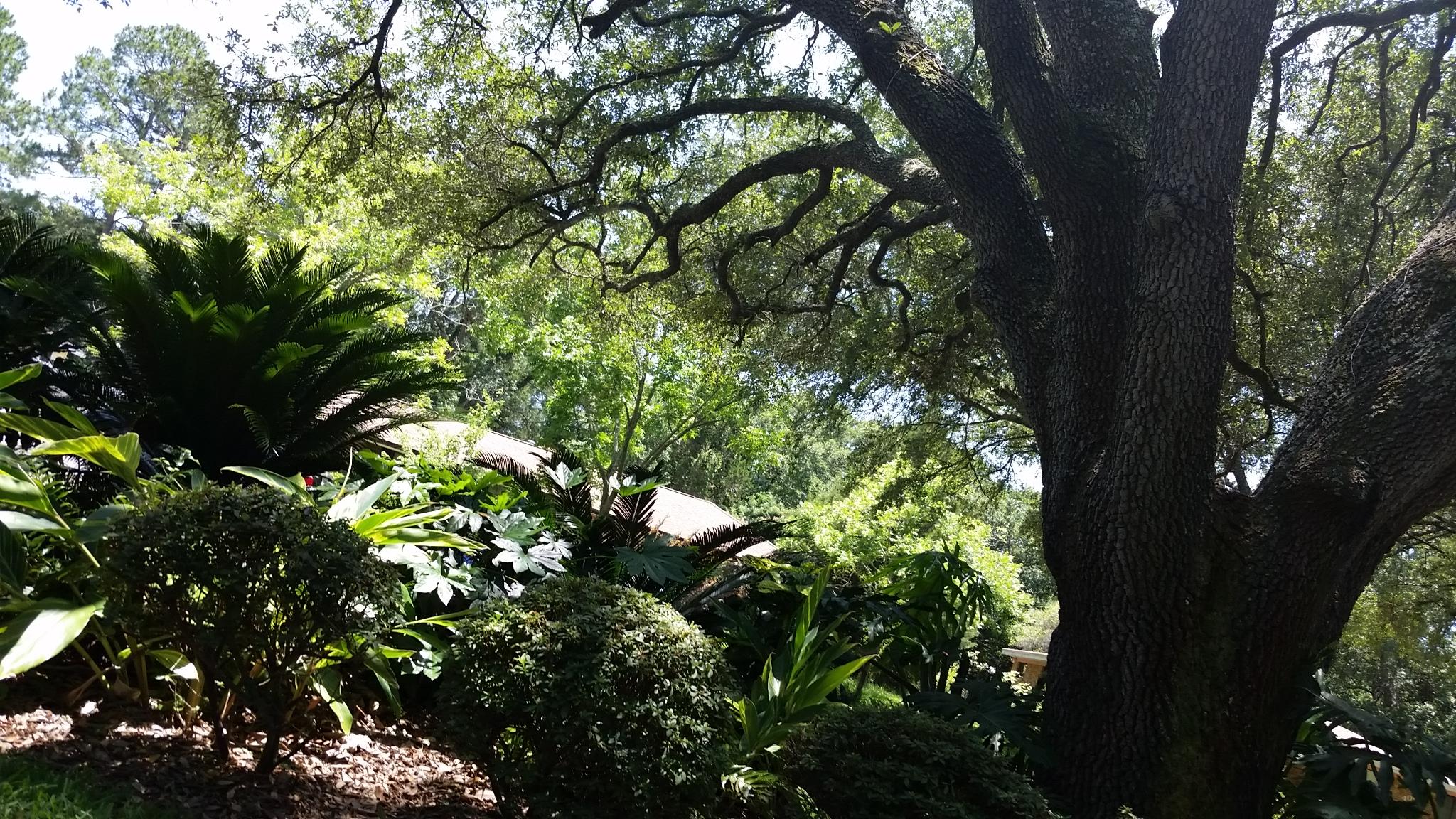 CLOVERDALE S/D - Residential