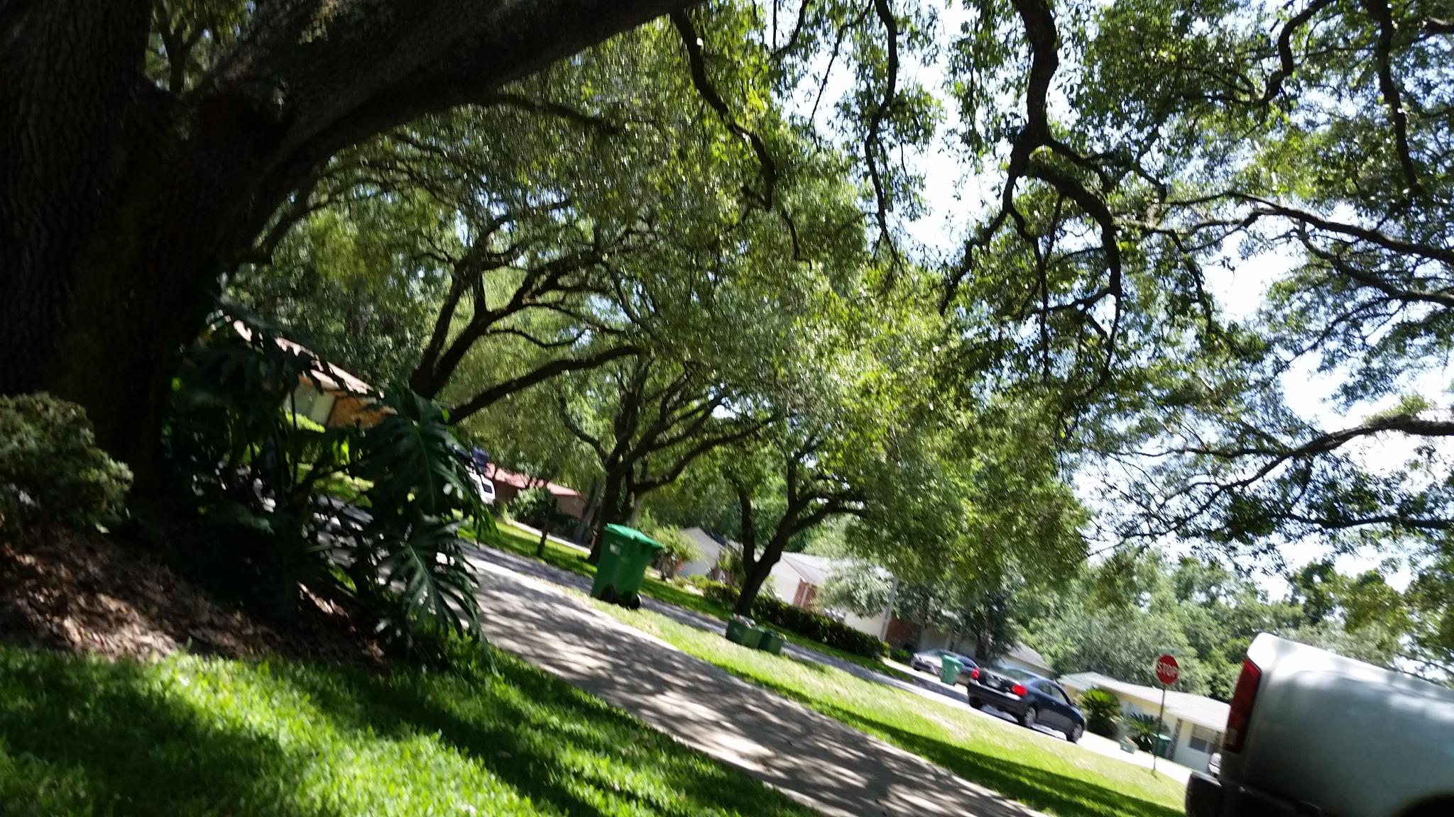 CLOVERDALE S/D - Residential