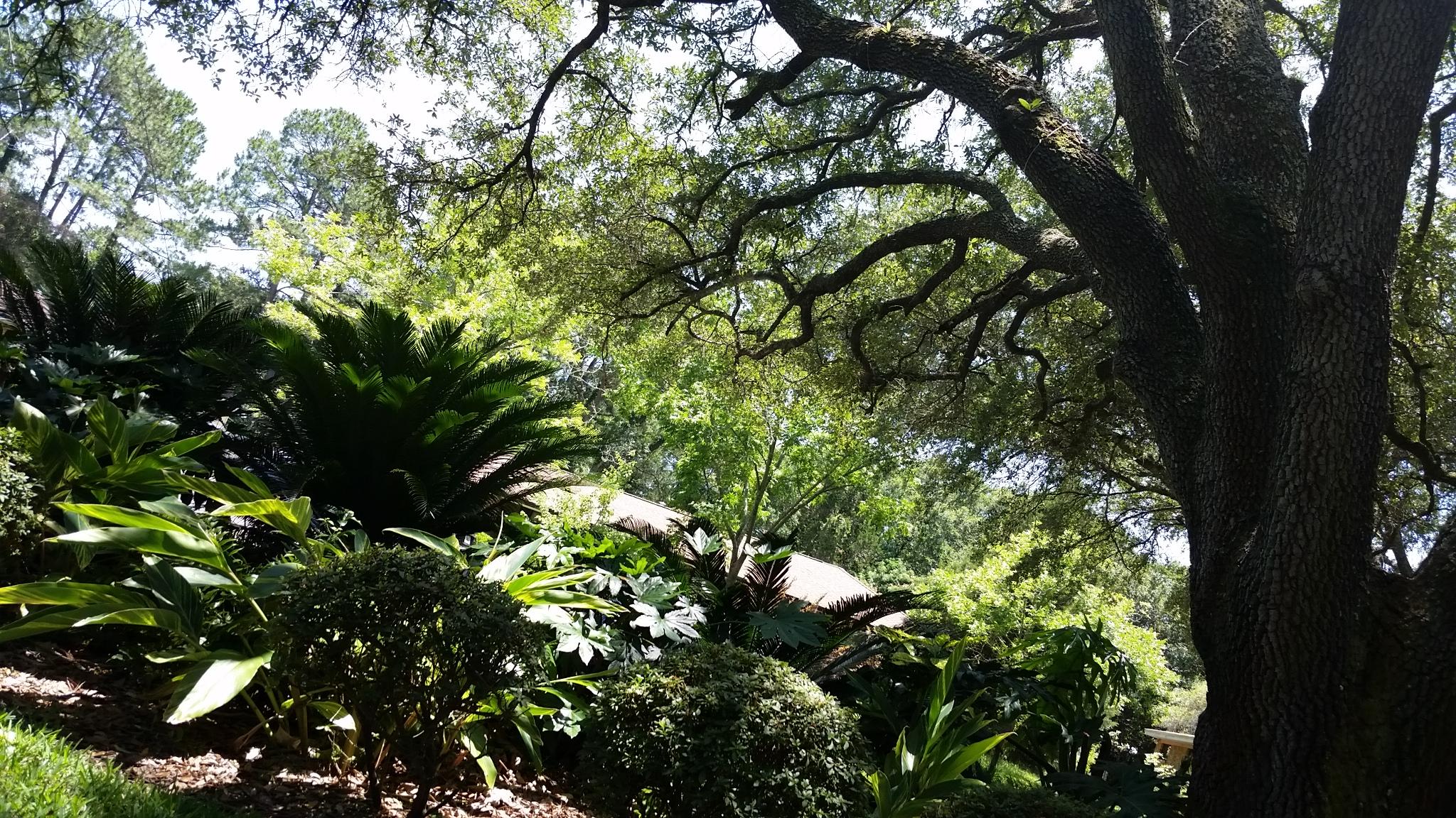 CLOVERDALE S/D - Residential