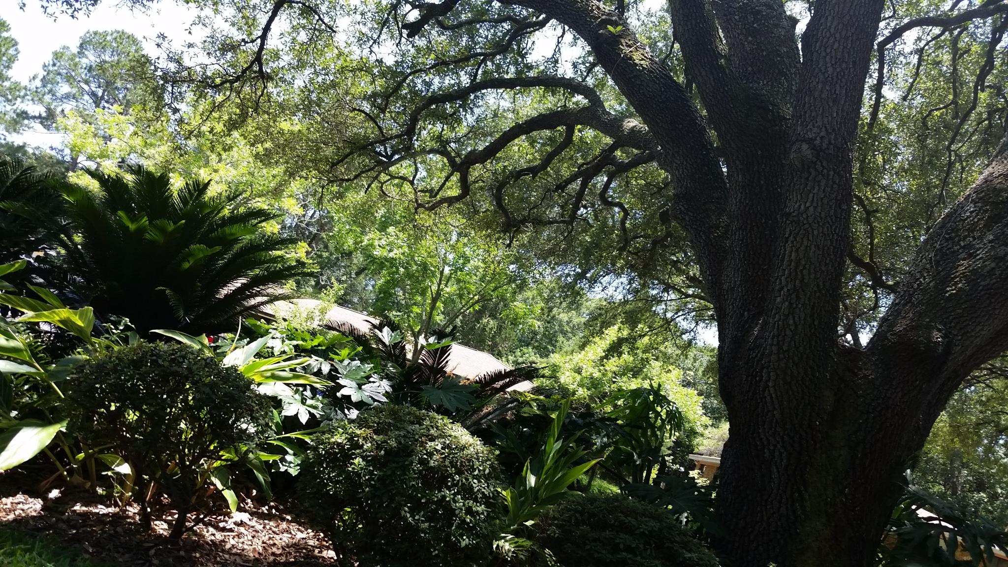 CLOVERDALE S/D - Residential