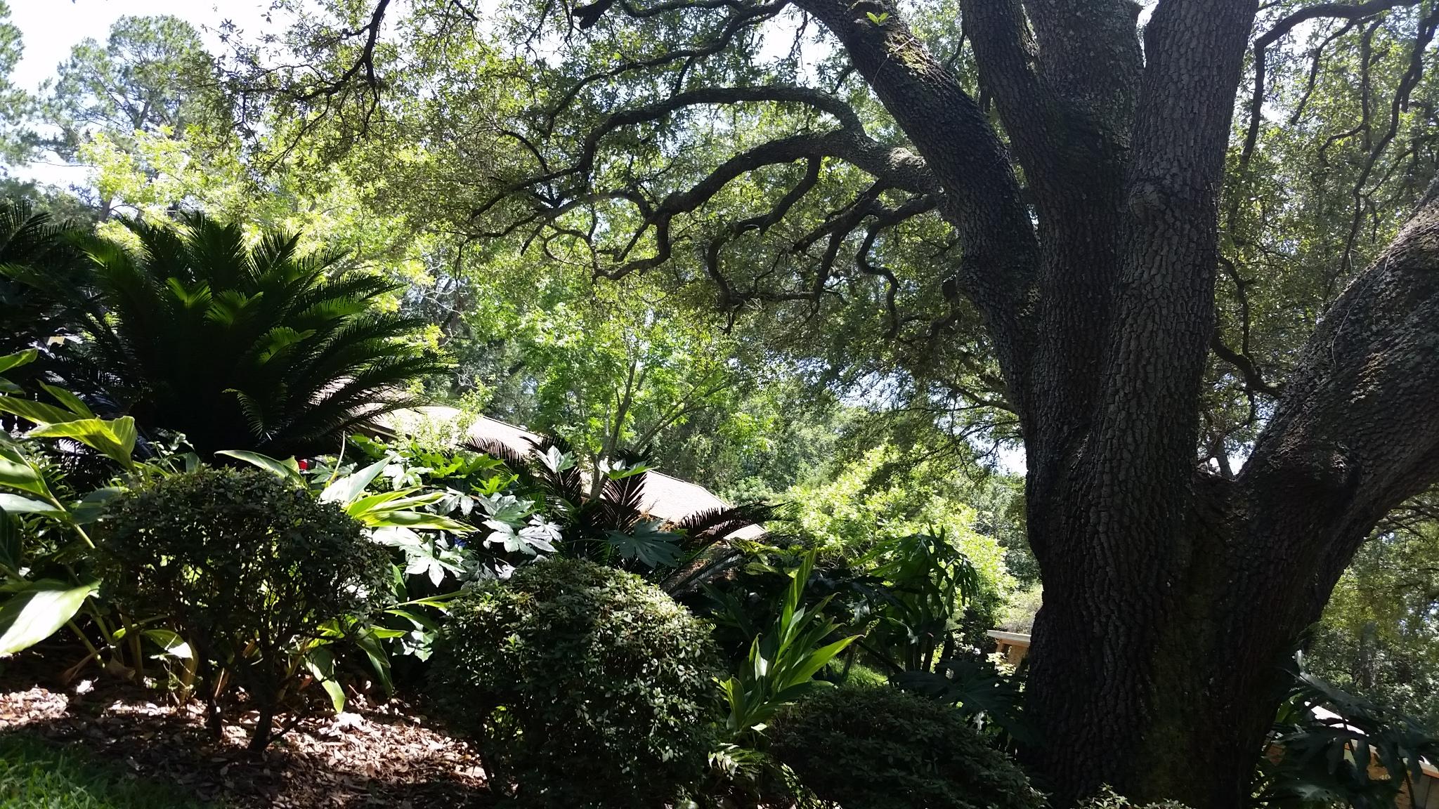 CLOVERDALE S/D - Residential