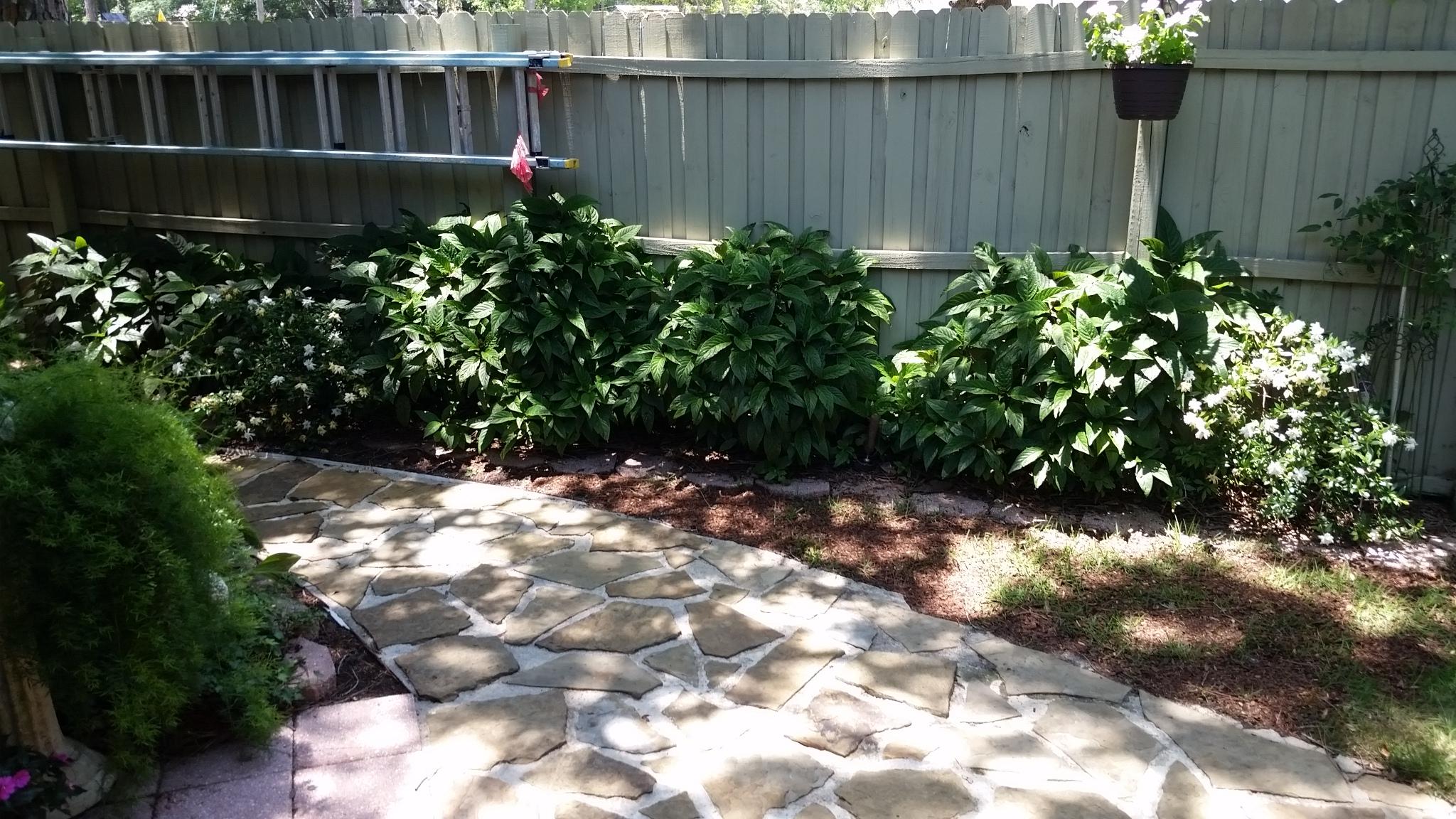 CLOVERDALE S/D - Residential