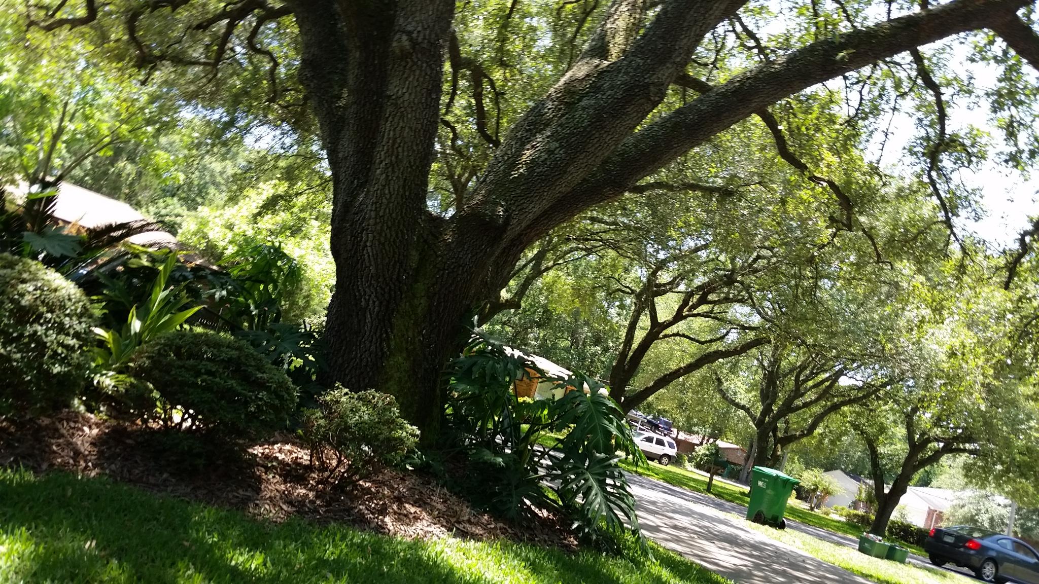 CLOVERDALE S/D - Residential